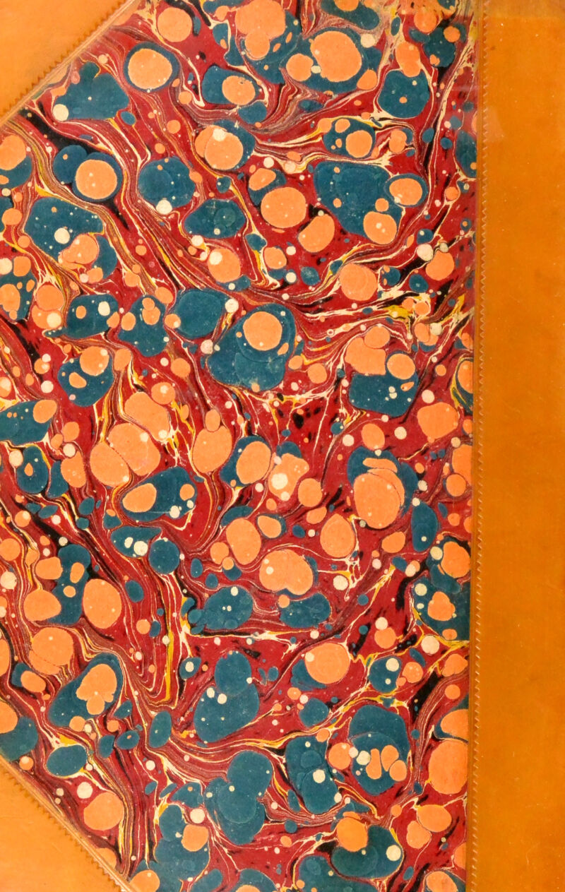 WS%'H &ê£ • 1mm \ ^ïàfej«r^ ;K • •('