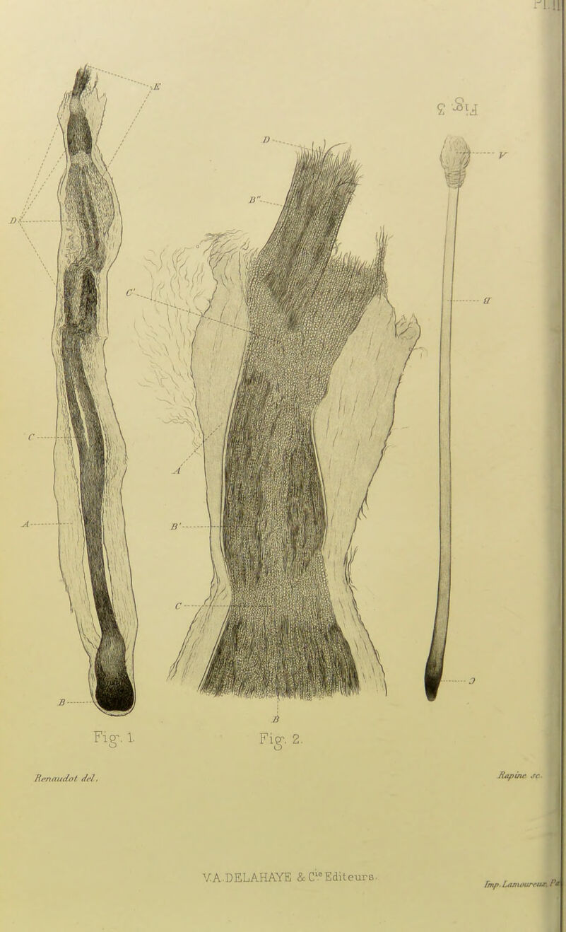 !1 VA.DELAHAYE &C^.''Editeurs. ^ , ,,