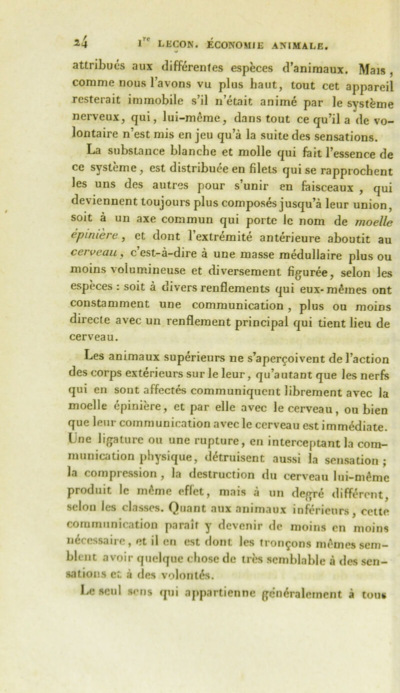 SJ attribues aux differentes especes d’animaux. Mais , comme nous l’avons vu plus haut, tout cet appareil resterait immobile s’il n’etait anime par le systeme nerveux, qui, lui-meme, dans tout ce qu’il a de vo- lontaire n’est mis en jeu qu a la suite des sensations. La substance blanche et molle qui fait l’essence de ce systeme, est distribute en filets qui se rapprochent les uns des autres pour s’unir en faisceaux , qui deviennent toujours plus composes jusqu’a leur union, soit a un axe commun qui porte le nom de moelle epmiere , et dont 1 extremite anterieure aboutit au cerveau , c’est-a-dire a une masse medullaire plus ou moins volumineuse et diversement figuree, selon les especes : soit a divers renflements qui eux-memes ont constamment une communication, plus ou moins direcle avec un renfleraent principal qui tient lieu de cerveau. Les animaux superieurs ne s’aper^oivent de Taction des corps exterieurssurleleur, qu’autantque les nerfs qui en sont affectes communiqucnt librement avec la moelle epiniere, et par elle avec le cerveau, ou bien que leur communication avec le cerveau est immediate. Une ligature ou une rupture, en interceptant la com- munication physique, dttruisent aussi la sensation; la compression, la destruction du cerveau lui-mtmo produit Ic mtme eflct, mais a un degre different selon les classes. Quant aux animaux infericurs, cette communication parait y devenir de moins en moins neccssairc, et il en est dont les frontons memessem- blcnt avoir quelquc chose de tres scmblable a des sen- sations et a des volontts. Le scul sens qui appartienne gentraleinent a tous