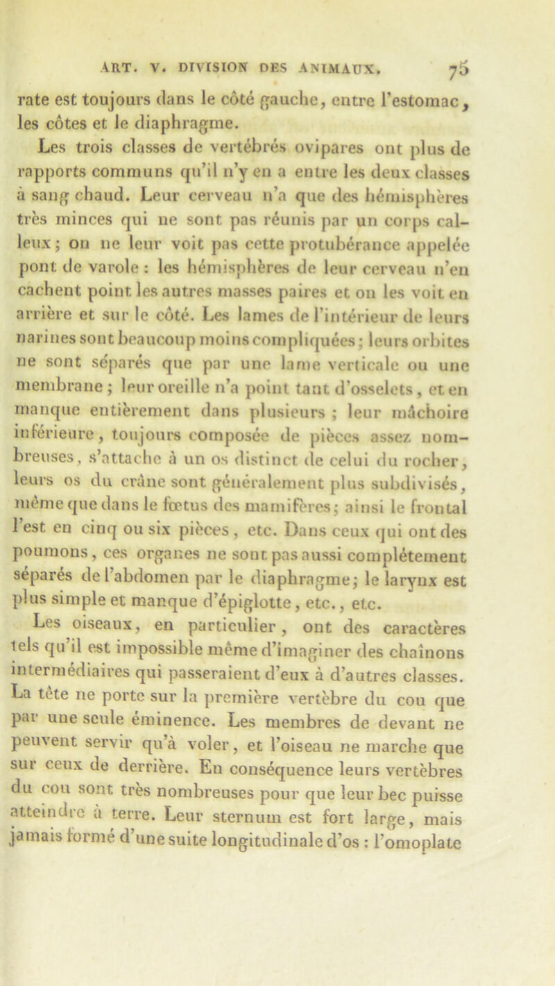 rate est toujours dans le cote gauche, entre l’estomac, les cotes et Je diaphragme. Les trois classes de vertebres ovipares out plus de rapports communs qu’il n’y en a entre les deux classes a sang chaud. Lear cerveau n’a que des hemispheres ties minces qui ne sont pas reunis par un corps cal- leux; on ne leur voit pas cette protuberance appelee pout de varole : les hemispheres de leur cerveau n’eu cachent point les autres masses paires et on les voit en arriere et sur le cote. Les lames de l’interieur de leurs narinessontbeaucoupmoinscompliquees; leurs orbites ne sont separes que par une lame verticale ou une membrane; leuroreille n’a point taut d’osselets , eten manque entierement dans plusieurs ; leur mdchoire inferieure, toujours composee de pieces assez nom- breuses, s’attache a un os distinct tie celui du rocher, leurs os du crane sont generalement plus subdivises, meme que dans le foetus des mamiferes; ainsi le frontal 1 est en cinq ou six pieces , etc. Dans ceux qui out des poumons, ces organes ne sont pas aussi completement separes de 1 abdomen par le diaphragme; le larynx est plus simple et manque d’epiglotte, etc., etc. Les oiseaux, en particulier, ont des caracteres lels qu’il est impossible meme d’imaginer des chainons intermediates qui passeraient d’eux a d’autres classes. La tcte ne portc sur la premiere vertebre du cou que par une scule eminence. Les membres de devant ne peuvent servir qu’a voler, et Foiseau ne marche que sur ceux de derriere. En consequence leurs vertebres du cou sont tres nombreuses pour que leur bee puisse atteindre a terre. Leur sternum est fort large, mais jamais forme d’une suite longitudinale d’os : l’omoplate