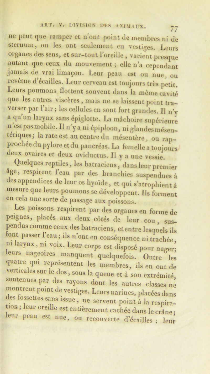 lie pcut que rarnper et li’ont point de meoibres ni tie sternum, ou les out sculement eii vestiges. Leurs organes ties sens, et sur-tout 1’oreille , varient pi esque autant que ceux du mouvement; elle n’a cependant jamais de vrai limagon. Leur peau est ou nue, ou revetue d’eeailles. Lour cerveau est toujours tres petit. Leurs poumons flottent souvent dans la meme eavite que les autres viscfcres , niais ne se laissent point tra- verser par Fair; les cellules cn sont fort grandes. 11 n’v a qu’un larynx sans epiglotte. La machoire superieure n estpasmobile. II n’ya ni epiploon, ni glandesmesen- teriquesj la rate est au centre du inesentere, ou rap- prochee du pylore et du pancreas. La femelle a toujours tleux ovaires et deux oviductus. II y a une vessie. Quelques reptiles, les batraciens, dans leur premier age, respirent l’eau par ties branchies suspendues a des appendices de leur os liyoide, et qui s’atropbient a mesure que leurs poumons se developpent. Ils forment en cel a une sorte de passage aux poissons. Les poissons respirent par des organes en forme de peignes, places aux deux cotes de leur cou sus pendus comme ceux ties batraciens, etentre lesquels ils font passer l’eau j ils u’ont en consequence ni trachee m larynx, m voix. Leur corps est dispose pour nager- leurs nageoires manquent quelquefois. Outre les quatre qui representent les membres, ils en ont de verticales sur le dos, sous la queue et a son cxtremite soutenues par ties rayons dont les autres classes ne moot rent point de vestiges. Leurs narines, placees dans des fossett.es sans issue, ne servent point a la respira- tion j leur oreille est entierement cachee dans le cAne • em peau est nue, ou recouverte d’ecailles leur