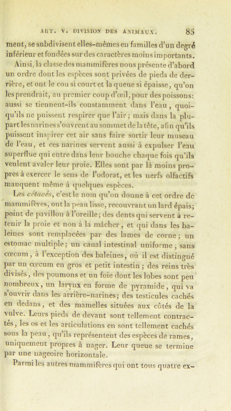 ment, se subdivisent elles-memesen families d’un degri inferieur etfondees sur des caracteres moinsimportants. Ainsi, la classedes nianimiferes nous presente d’abord un ordre dontles especes sont privees de pieds de der- ricre, et out le cou si court et la queue si cpaisse, qu’on lesprendrait, au premier coup d’oeil,pour despoissons: aussi sc tiennent-ils constamment dans l’eau, quoi- qu’ils nc puissent respircr que Pair; mais dans la plu- part lesnariness’ouvrcntau sonimetdelat6te, afin qu’ils puissent inspirer cet air sans fa ire sortir lcur mnseau de 1 eau, et ces narines servent aussi a expulser l’eau superflue quientredans leur bouche chaque fois qu’ils veulent avalcr leur proie. Elies sont par la moins pro- pres a exercer le sens de 1’odorat, et les nerfs olfactifs manquent ineme a quelques especes. Les cetncSsy c’estlc noin qu’on donne a cet ordre dc nianimiferes, out la peau lisse, recouvrant un lard ^pais; point de pavilion a l’oreille; des dents qui servent a re- tenir la proie et non a la mdcher, et qui dans les ba- leines sont remplacees par des lames de corne; un estomac multiple; un canal intestinal uniforme, sans ccecum, a Texception des baleines, ou il est distingue par un ccecum en gros et petit intestin; des reins tres divises, des poumons et un foie dont les lobes sont peu nombreux, un larynx en forme de pyramide, qui va s ouvrir dans les arriere-narines; des testicules caches en dedans, et des mamelles situees aux cotes de la xulve. Leurs pieds de devant sont tellement contrac- tes, les os et: les articulations en sont tellement caches sous la peau, qu’ils representent des especes de rames, uniquement propres a nager. Leur queue se lermine par une liageoire horizontale. Parmi les autres mammiferes qui ont tons qualrc ex-