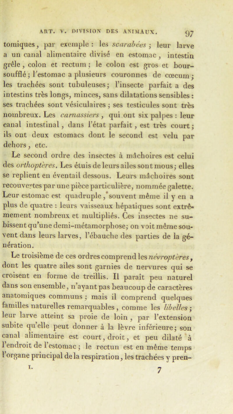 tomiques, par example: les scarabees; leur larve a un canal alimentairc divise en estomac, intestin grele , colon et rectum ; le colon cst gros et bour- souffle ; Testomac a plnsieurs couronnes de coecurn ; les trachees sont tubuleuses; l’insecte parfait a des intestins tres longs, minces, sans dilatations sensibles : ses trachees sont vesiculaires ; ses testicules sont tres noinbreux. Les carnassiers , qui ont six palpes : leur canal intestinal, dans 1’etat parfait, est ties court; ils ont deux estomacs dont le second est velu par dehors, etc. Le second ordre des insectes a mAchoires est celui des orthopteres. Les ikuisde leursailessont mous; elles se replient en eventail ilessous. Leurs m^choires sont recouvertes par une piece particuliere, nominee galette. Leur estomac est quadruple/souvent m6me il y en a plus de quatre : leurs vaisseaux hepatiques sont extril- mement nombreux et multiplies. Ces insectes ne su- bissent qu’une demi-metamorphose; on voit meme sou- vent dans leurs larves, 1’ebauche des parties de la ge- neration. Le troisieme de ces ordrescomprend les nevropteres, dont les quatre ailes sont garnies de nervures qui se croisent en forme de treillis. II parait peu naturel dans son ensemble, n’ayantpas beaucoup de caracteres anatomiques communs ; mais il comprend quelques families naturelles remarquables , comme les lib elles; leur larve atteint sa proie de loin , par l’extension subite quelle peut donner a la levre inferieure; son canal alimentaire est court, droit, et peu dilate a 1 endroit de 1 estomac ; le rectun est en meme temps l’organe principal dela respiration, les trachees y pren-