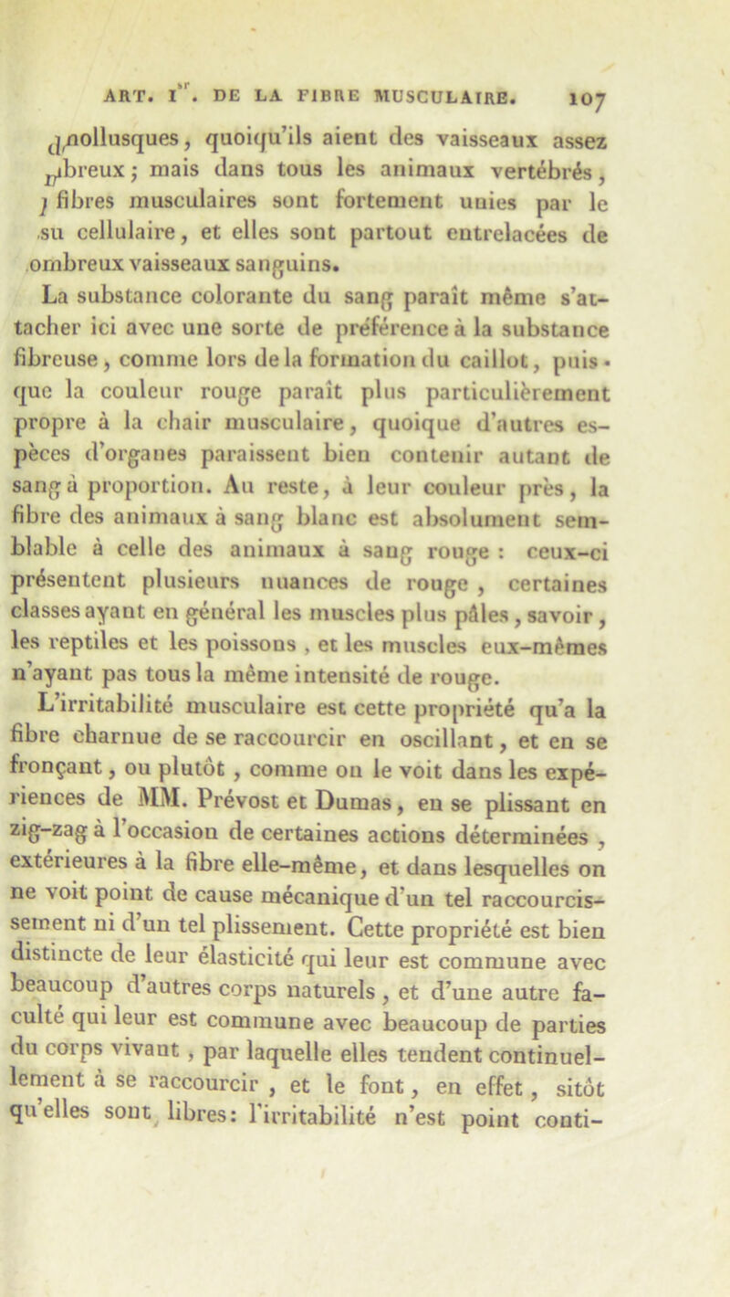 tj(nollusques, quoiqu’ils aient des vaisseaux assez pibreux; mais dans tous les animaux vert£br£s, ] fibres inusculaires sont fortenient uuies par le ,su cellulaire, et elles sont partout entrelacees de ombreux vaisseaux sanguins. La substance colorante du sang parait meme s’at- tacher ici avec une sorte de preference a la substance fibrcuse, comnie lors dela formation du caillot, puis- quc la couleur rouge parait plus particulierement propre a la chair muscuiaire, quoique d’autres es- peces d’organes paraissent bien contenir autant de sang a proportion. An reste, a leur couleur pres, la fibre des animaux a sang blanc est absolument sein- blable a celle des animaux a sang rouge : ceux-ci pr&sentent plusieurs nuances de rouge , certaines classes ayant en general les muscles plus piles , savoir , les reptiles et les poissons , et les muscles eux-mimes n’ayant pas tous la meme intensite de rouge. L’irritabilite muscuiaire est cette propriete qu’a la fibre charnue de se raccourcir en oscillant, et en se fron^ant, ou plutot , comme on le voit dans les expe- riences de MM. Prevost et Dumas, en se plissant en zig-zag a 1 occasion de certaines actions determinees , exterieures a la fibre elle-meme, et dans lesquelles on ne s oit point ae cause mecanique d un tel raccourcis- seinent ni d un tel plissement. Cette propriete est bien distincte de leur elasticile qui leur est commune avec beaucoup d autres corps naturels , et d’une autre fa- culte qui leur est commune avec beaucoup de parties du corps vivant , par laquelle elles tendent continuel- lement a se raccourcir , et le font, en effet, sitot qu elles sont libres: l’irritabilite n’est point conti-
