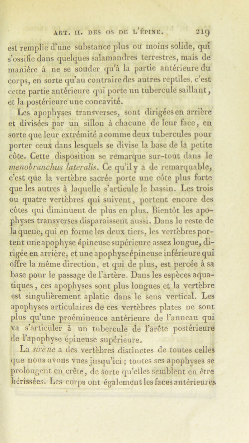csl remplie d’unc substance plus on moins solide, qui s’ossific dans quelques salamandres terfestres, mais de manierc a ne se souder qu’a la partie anterieure du corps, en sorte qu’au contrairedes autres reptiles, c’est cctte partie anterieure qui porte un tubercule saillant, et la posterieure uue concavite. Les apophyses transverses, sont dirigeesen arrierc et divisees par un sillon a chacune de lour face, cu sorte que leur extremite acomme deux tubercules pour porter ceux dans lesquels se divise la base dc la petite cote. Cette disposition se rcmarque sur-tout dans le rnenobranchus lateralis. Ce qu’ily a de rctnarquable, c’cst que la vertebre sacr£c porte une cote plus forte que les autres a laquelle s'artieule le bassin. Les trois ou quatre vertebres qui suiveut, portent encore dcs cotes qui diminuent dc plus en plus. Bientbt les apo- physes transverses disparaissent aussi. Dans le reste de la queue, qui en forme les deux tiers, les vertebres por- tent uneapophyse epineuse supericure assez longue, di- rigee en arriere, et uneapophyse epineuse inferieure qui offre la meme direction, et qui de plus, est percee a sa base pour le passage de l’artere. Dans les especes aqua- tiques, ces apophyses sont plus longues et la vertebre est singulierement aplatie dans le sens vertical. Les apophyses articulaires de ces vertebres plates ne sont pius qu’une proeminence anterieure de l’anneau qui va s’articuler a un tubercule de l’arete posterieure de lapophyse epineuse superieure. La sire ne a des vertebres distinctes de toutes celles que nous avons vues jusqu’ici; toutes ses apophyses se prolongcnt en crcte, de. sorte qu’elles semblent en ctre herissees. Les corps out egalcment les faces antcrieures