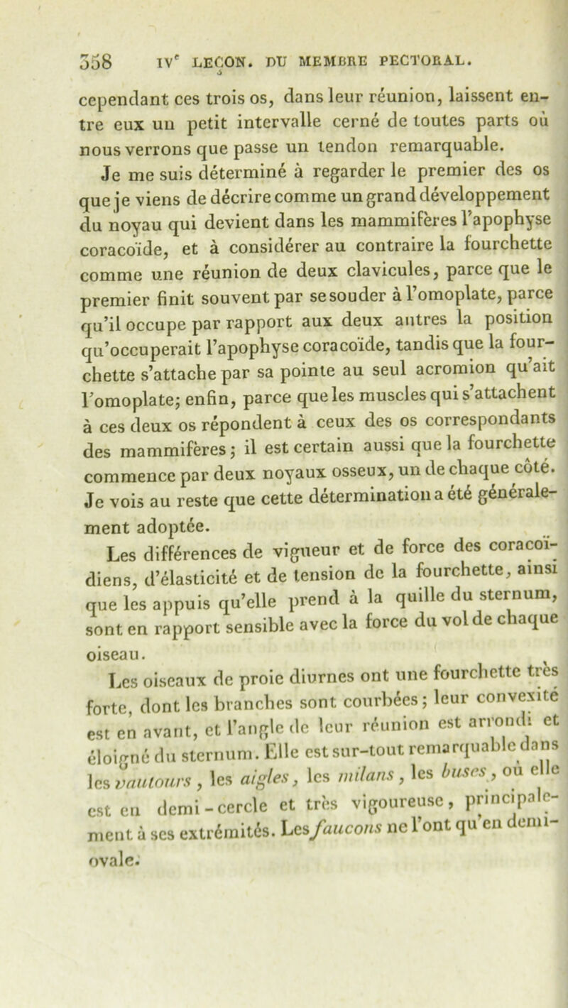 cependant ces trois os, dans leur reunion, laissent en- tre eux uu petit intervals cerne de toutes parts ou nous verrons que passe un tendon reraarquable. Je me suis determine a regarder le premier des os que je viens de decrire comme un grand developpement du noyau qui devient dans les mammiferes Fapophyse coraco'ide, et a considerer au contraire la fourchette comme une reunion de deux clavicules, parce que le premier finit souventpar sesouder al omoplate, parce qu’il occupe par rapport aux deux autres la position qu’occuperait Fapophyse coracoide, tandisque la four- chette s’attache par sa pointe au seul acromion qu’ait Tomoplate; enfin, parce que les muscles qui s’attachent a ces deux os repondent a ceux des os correspondants des mammiferes ; il est certain aussi que la fourchette commence par deux noyaux osseux, un de chaque cote. Je vois au reste que cette determination a et6 gSnerale- ment adoptee. Les differences de vigueur et de force des coracoi- diens, d’elasticite et de tension de la fourchette, ainsi que les appuis qu’elle prend a la quille du sternum, sont en rapport sensible avec la force du vol de chaque oiseau. Les oiscaux de proie diurnes ont une fourchette tres forte, dont les branches sont courbees; leur convexite est en avant, et Tangle de leur reunion est arrondi et cloigne du sternum. Elle est sur-tout remarquablc dans les vautours , les aigles, les milans, les bust's , ou el e est en demi - cercle et tres vigoureusc, pnnc.pnle- ment a scs extrdinitds. Lesfaucons nc l’ont qu en denn- ovale.