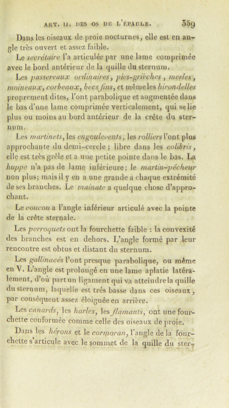 Dans lcs oiseaux tie proie nocturnes, elle est en an- gle tres ouvert et assez faible. Le secretaire l’a arliculee par une lame comprimee avec le bortl anterieur tie la quille tlu sternum. Les passereuux ordinaires, pies-pneches , merles, moineaux, corbeaux, bees Jins, et memeles liirondelles proprement ilites, l’ont parabolitjue et augmenlee tlans le bastl’une lame comprimee verticalement, qui selie plus ou moins an bortl anterieur de la Crete tlu ster- num. Les martinets, les engoule vents, les colliers Vont plus approchante du denii-cercle j libre dans les coltbris, elle est tres grele et a une petite pointe dans le bas. La huppe n’a pas de lame iuferieure; le martin-pecheur non plus; maisil y en a une grande a chaque extremite tie ses branches. Le manuite a quelquc chose d’nppro- chant. Le coucou a Tangle inferieur articule avec la pointe tie la enke sterna le. Les perroquets ont la fourchette faible : la convexite ties branches est en dehors. L’angle forme par leur rencontre est obtus et distant du sternum. Les gallinaees Tout presque parabolique, ou m£me en V. L’angle est prolonge en une lame aplatie latera- lement, d’ou partun ligament qui va atteindrela quille du sternum, laquelle est tres basse tlans ces oiseaux, par consequent assez eloignee en arriere. Les canards, les harles, les flamanls, ont une four- chette conformee connne celle ties oiseaux de proie. Dans les herons et le cormoran, Tangle tie la four- chette s articule avec le sommet de la quille du steiv