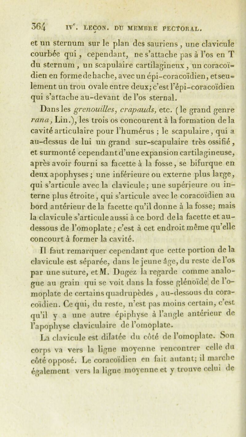 et un sternum sur le plan des sauriens , une clavicule courb^e qui , cependant, ne s’attache pas a l’os en T du sternum, un scapulaire cartilagineux, uncoracoi= dien en forme dehache, avec uncpi-coraco’idien, etseu= lenient un trou ovale entre deux; c’est Fepi-coraco’idien qui s’attache au-devant de l’os sternal. Dansles grenouilles, crapauds, etc. (le grand genre rana, Lin.), les trois os concourent a la formation dela cavite articulaire pour Thumerus ; le scapulaire, qui a au-dessus de lui un grand sur-scapulaire tres ossifie , et surmonte cependantd’une expansion cartilagineuse, apres avoir fourni sa facette a la fosse, se bifurque en deux apophyses ; une inferieure ou externe plus large, qui s’articule avec la clavicule; une superieure ou in- terne plus etroite, qui s’articule avec le coracoidien au bord anterieur de la facette qu’il donne a la fosse; mais la clavicule s’articule aussi a ce bord dela facette et au- dessous de l’omoplate; c’est a cet endroitraeme qu’elle concourt a former la cavite. II faut remarquer cependant que cette portion de la clavicule est, separee, dans le jeune 3ge, du restc del’os par une suture, et M. Dugez la regarde comme analo- gue au grain qui se voit dans la fosse glenoide' de 1 o- moplatc de certains quadrupedes , au-dessous du cora- coidien. Ce qui, du reste, n’est pas moins certain, c’est qu’il y a une autre epiphysc a Tangle anterieur de l’apophyse claviculaire de Tomoplate. La clavicule est dilatde du col6 de 1 omoplatc. Son corps va vers la ligne moyenne rencontrer cello du cftte oppose. Le coracoidien cn fait a titan t; il march c igalement vers la ligne moyenne et y trouve cclui de