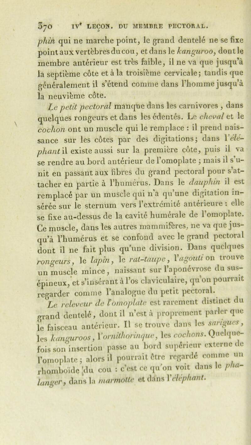phin qui ne marche point, le grand dentele ne se fixe point aux vertebresducou, et dans le kanguroo, dontle membre anterieur est tres faible, il ne va que jusqu’a Ja septieme cote eta la troisieme cervicale; tandis que g^neralement. il s’etend conmie dans rhomme jusqu’a la neuvieme cote. Le petit pectoral manque dans les carnivores , dans quelques rongeurs etdans les edent^s. Lc cheval et le cochon ont un muscle qui le remplace : il prend nais- sance sur les cotes par des digitations; dans Yele- phant il existe aussi sur la premiere cote, puis il va se rendre au bord anterieur de l’omoplate j mais il s’u- nit eu passant aux fibres du grand pectoral pour s’at- tacheren partie a l’humerus. Dans le dauphin il est remplace par un muscle qui n a qu une digitation in- seree sur le sternum vers l’extrcmite anterieuve : elle se fixe au-dessus de la cavit6 humerale de l’omoplate. C'e muscle, dans les autres mammiferes, ne va que jus- qu’a l’humerus et se confond avcc le grand pectoral dont il ne fait plus qu’une division. Dans quelques rongeurs, le lapin, le rat-taupe, Yagouti on trouve un muscle mince, naissant sur l’aponevrose du sus- epineux, et s’inserant i l’os claviculaire, qu’on pourrait regarder comme l’analogue du petit pectoral. Le relev cur de lomoplale est rarement distinct du grand dentele, dont il n’est k proprement parlor que le faisceau anterieur. Il sc trouve dans les sarigues, les hanguroos, Yomilhorinque, les cochons. Quelque- fois son insertion passe au bord supSricur externe de 1’omoplate; alors il pourrait fttre regarde comme un rhomboidc |du cou : c’est ce qu’on voit dans le pha- langcr, dans la marmoite etdans Yelephant.