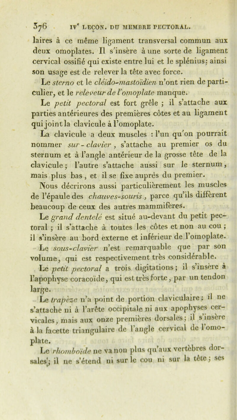 laires a ce meme ligament transversal commun aux deux omoplates. II s’insere a nne sorte de ligament cervical ossifi^ qui cxiste entre lui et le splenius: ainsi son usage est de relever la tete avec force. Le sterno et le cleido-mastoidien n’ont rien de parti- cular, et le releveur del’ omoplate manque. Le petit pectoral est fort grele ; il s’attache aux parties ant^rieures des premieres cotes et au ligament qui joint la clavicule a l’omoplate. La clavicule a deux muscles : l’un qu’on pourrait nommer sur - clavier , s’attache au premier os du sternum et a 1’angle anterieur de la grosse tete de la clavicule; l’autre s’attache aussi sur le sternum, mais plus has , et il se fixe aupres du premier. Nous decrirons aussi particulierement les muscles de l’epaule des chauves-souris , parce qu’ils different beaucoup de ceux des autres mammiferes. Le grand dentele est situe au-devant du petit pec- toral ; il s’attache a toutes les cotes et non au cou ; il s’insere au bord externe et inferieur de l’omoplate. Le sous-clavier n’est remarquable que par son volume, qui est respectivement trfes considerable. Le petit pectoral a trois digitations; il s insere a l’apophyse coracoide, qui esttres forte, par un tendon large. he trapeze n’a point de portion claviculaire; il nc s’attache ni a l’ar6te occipitale ni aux apophyses cer- vicales, mais aux onze premieres dorsales; il s inscre a la facette triangulaire de 1 angle cervical de 1 omo- plate. Le rhomboide 11c va non plus qu’aux vertebres dor- sales': il ne s’^tend ni sur le cou ni sur la telc^ scs