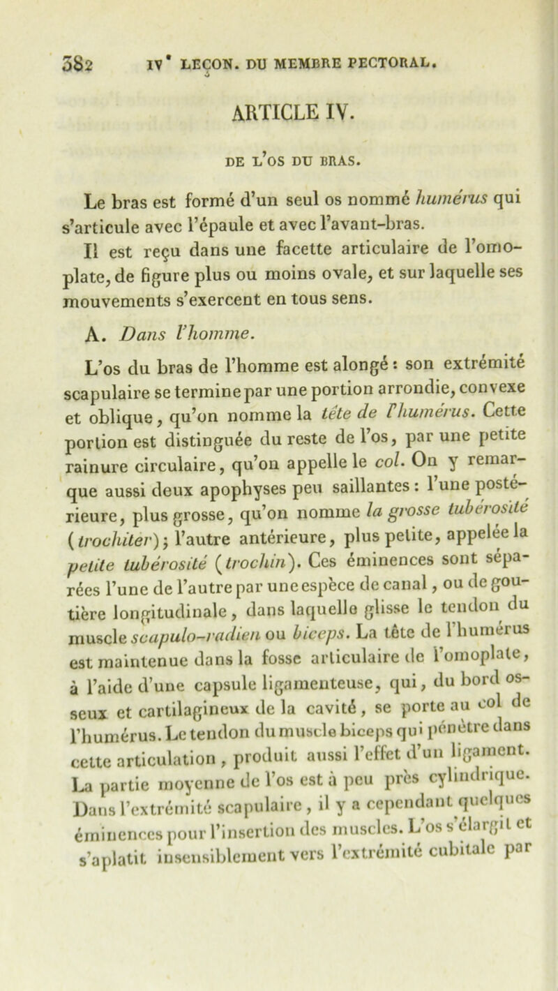 ARTICLE IV. DE L OS DU BRAS. Le bras est forme d’un seul os Domme humerus qui s’articule avec l’epaule et avec l’avant-bras. Ii est re$u dans une facette articulaire de l’omo- plate, de figure plus ou moins ovale, et sur laquelle ses mouvements s’exercent en tous sens. A. Dans I’homme. L’os du bras de 1’homme est alonge : son extremite scapulaire se termine par une portion arrondie, convexe et oblique, qu’on nomme la tete de thumerus. Cette portion est distinguee du reste de l’os, par une petite rainure circulaire, qu’on appelle le col. Ou y remar- que aussi deux apophyses pen saillantes : l’une poste- rieure, plusgrosse, qu’on nomme la grosse tubcros'ilc (trochiter) j l’autre anterieure, plus petite, appelee la petite tuberosite (trochin). Ces eminences sont sepa- rees l’une de l’autrepar uncespece decanal, ou degou- tiere longitudinale, dans laquelle glisse le tendon du muscle scapulo—radicu ou biceps. La t.ele de 1 humerus est maintenue dans la fosse articulaire de i’omoplate, a l’aidc d’une capsule ligamenteuse, qui, du bord os- seux et cartilagineux de la cavit6, se porte au col de rhumerus.Le tendon du muscle biceps qui penetredans cette articulation , produit aussi l’effet d’un ligament. La partie moyenne de l’os est a peu pres cyhndrique. Dans l’extremite scapulaire , il y a cependant quelqucs eminences pour l’insertion dcs muscles. L’os s’elargit et s’aplatit insensiblement vers l’extremite cubitalc par