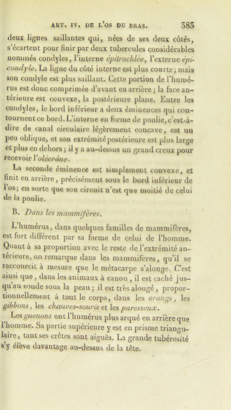 deux lignes saillantes qui, nees de ses deux cotes, s'ecartent pour finir par deux tubercules considerables nommes condyles, l’interne epilrochlee, 1’externe ^pi- condyle. La ligne du cote interne est plus courts; mais son condyle est plus saillant. Cette portion de l'hunie- rus est done coraprimfo d’avant en arriere; la face an- terieure est couvexe, la posterieure plane. Eulre les condyles, le bord inferieur a deux eminences qui con- tournentee bord. L’interne en forme de poulie,c’est-a- dire de canal circulaire legeremeut concave, est un peu oblique, et sou extremiteposterieure est plus large et plus en dehors; il y a au-dessus un grand creux pour recevoir Y olecrane. La seconde eminence est simplemeut convexe, et finit en arriere, preciseineut sous le bord inferieur de 1 os j eu sortc que son circuit n est que moitie de celui de la poulie. B. Dans les mammiferes. L humerus, dans quelques families de mammiferes, est fort different par sa forme de celui de l’homme. Quant a sa proportion avec le reste de b extremite an- tei ieure, on remarque dans les mammiferes, q u’il se raccourcit a mesure que le metacarpe s’alonge. C’est ainsi que, dans les auimaux a canon , il est cache jus- qu au coude sous la peau ; il est tres alouge , propor- tionnellemeut a tout le corps, dans les orungs, les gibbons, les chauves-sow'is et les paresseux. , ^es §uerions ont 1 humerus plus arque en arriere que 1 honnne. Sa partie superieure y est en prisme triangu- laire, tantses crctes sont aigues. La grande tuberosite sy eleve davantage au-dessus de la tete.