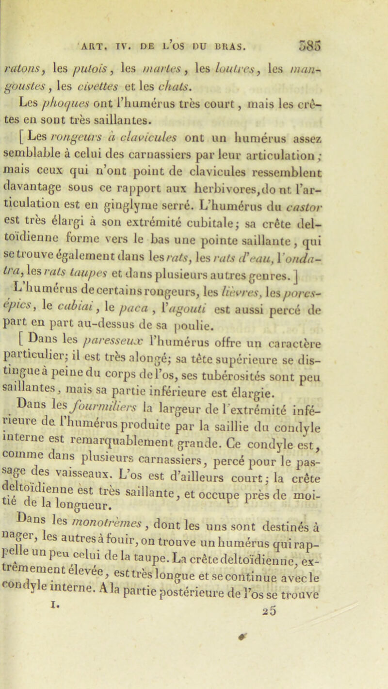 nitons, les pulois, les nuirtes, les loulres, les man-' goustes, les civettes et; les chats. Les phoques out l’humerus tres court, mais les crea- tes en sont tres saillantes. [ Les rongeurs a clavicules ont un humerus assez semblable a celui ties caruassiers par leur articulation ; mais ceux qui u’out point de clavicules ressemblent davantage sous ce rapport aux herbivores,do nt l’ar- ticulation est en ginglyme serre. L’hum6rus du castor est tres 61a rgi a son extremite cubitale; sa crike del- toidienne forme vers le bas une pointe saillante, qtii setrouve 6galement dans lesmAs, les rats (Teau, Yonda- ha, les rals taupes et dans plusieurs autres genres. J L humerus de certains rongeurs, les hevres, les pores- ep/cs, le cabiai, le paca , Yagouti est aussi perce de pait en part au-dessus de sa poulie. [ Dans les paresseu-x l’humerus offre un caractcre particulieiq il est tres alonge; sa tete superieure se dis- tingue a peine du corps del’os, ses tuberositas sont peu saillantes, mais sa panic inferieure est elai'gie. Dans les founnfliers la largeur de lextremite infe- rieure de 1’humerus produite par la saillie du condyle interne est remarquablement grande. Ce condyle est, coinme dans plusieurs carnassiers, perce pour le pas- sage t es vaisseaux. Los est d’ailleurs court; la ertke ti6*de la”116 ^ sa*^ante> et occupe pres de moi- Dans les monotremes , dont les uns sont destines a uei j es autres a fouir, on trouve un humerus qui rap- ].e e un peu celui de la taupe. La Cretedeltoidienne, ex- remement elevee, esttreslongue etsecontinue avecle n< v e interne. A la partie posterieure de 1’os se trouve 25 i.