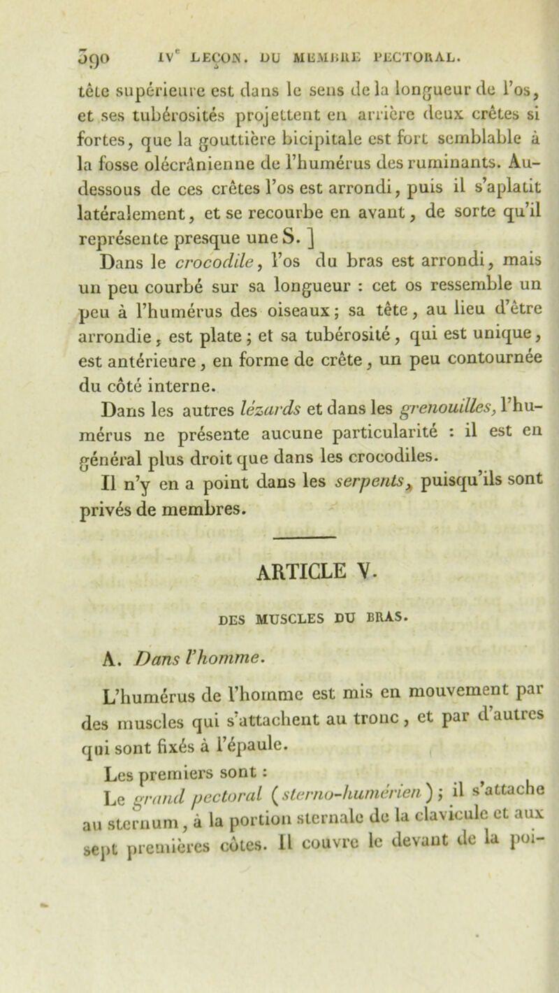 tele superieure cst dans lc sens de la longueur de l’os, et ses tub6rosit.es projettent en arriere deux cretes si fortes, que la gouttiere bicipitale est fort serablable a la fosse olecranienne de l’humerus desruminants. Au- dessous de ces cretes l’os est arrondi, puis il s’aplatit lateralement, et se recourbe en avant, de sorte qu’il represente presque uneS. ] Dans le crocodile, 1’os du bras est arrondi, mais un peu courbe sur sa longueur : cet os ressemble un peu a 1’humerus. des oiseaux; sa tete, au lieu d’etre arrondie, est plate; et sa tuberosite, qui est unique, est anterieure, en forme de crete, un peu contournee du cote interne. Dans les autres lezards et dans les grenouilles, 1 hu- merus ne preseate aucune particularite : il est en general plus droit que dans les crocodiles. Il n’y en a point dans les serpentsA puisqu’ils sont prives de membres. ARTICLE V. DES MUSCLES DU BRAS. A. Dans Vhomme. L’humerus de l’homme est mis en mouvement par des muscles qui s’attachent au trouc, et par d autres qui sont fix6s a i 6paule. Les premiers sont: Le grand pectoral (sterno-humerien ); il s’attache an sternum, a la portion sternale de la claviculc et aux