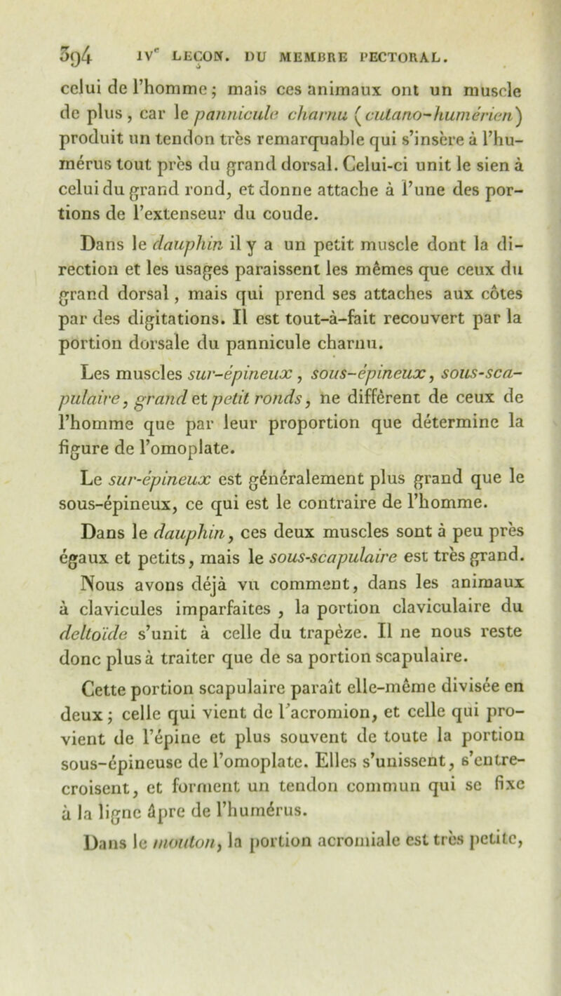 cclui de l’homme; mais ces animaux ont un muscle tie plus, car le pannicule charnu (cutano-humerien) produit un tendon tres remarquable qui s’insere a l’hu- merus tout pres du grand dorsal. Celui-ci unit le sien a celuidu grand rond, et donne attache a Pune des por- tions de l’extenseur du coude. Dans le dauphin il y a un petit muscle dont la di- rection et les usages paraissent les memes que ceux du grand dorsal, mais qui prend ses attaches aux cotes par des digitations. II est tout-a-fait recouvert par la portion dorsale du pannicule charnu. Les muscles sur-epineux, sous-epineux, sous-sca- pulaire, grand et petit ronds, ne different de ceux de l’homme que par leur proportion que determine la figure de l’omoplate. Le sur-epineux est gdneralement plus grand que le sous-epineux, ce qui est le contraire de l’homme. Dans le dauphin, ces deux muscles sont a peu pres egaux et petits, mais le sous-scapulaire est tres grand. Nous avons deja vu comment, dans les animaux a clavicules imparfaites , la portion claviculaire du deltoide s’unit a celle du trapeze. II ne nous reste done plus a traiter que de sa portion scapulaire. Cette portion scapulaire parait elle-meme divisee en deux; celle qui vient de l’acromion, et celle qui pro- vient de l’epine et plus souvent de toute la portion sous-epineuse de l’omoplate. Elies s’uiiissent, s’entre- croisent, et forment un tendon commun qui sc fixe a la ligne ilpre de Thumdrus. Dans le mouton, la portion acromiale est tres petite,