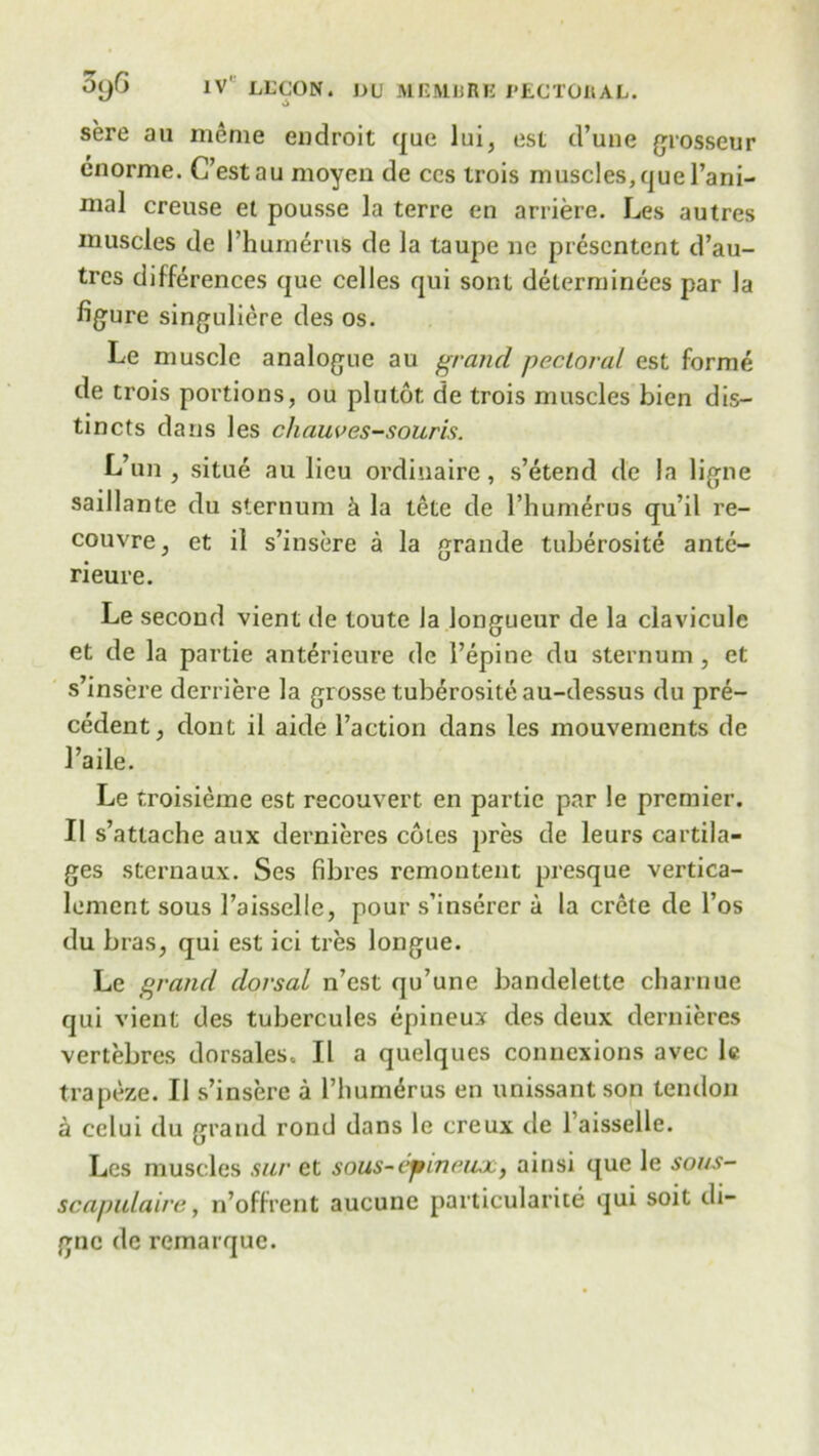 sere an meme endroit quo lui, est d’une grosseur enorme. C’estau moyen de ccs trois muscles,quel’ani- mal creuse et pousse la terre en arriere. Les autres muscles de I’humeruS de la taupe lie prescntent d’au- trcs differences que celles qui sont delerminees par la figure singuliere des os. Le muscle analogue au grand pectoral est forme de trois portions, ou plutot de trois muscles bien dis— tincts dans les chauves-souris. L’uii, situe au lieu ordinaire, s’etend de la ligne saillante du sternum & la lete de I’humerus qu’il re- couvre, et il s’insere a la grande tuberosite antc- rieure. Le second vient de toute la longueur de la clavicule et de la partie anterieure de l’epine du sternum, et s’insere derriere la grosse tuberosite au-dessus du pre- cedent, dont il aide l’action dans les mouvements de 1’aile. Le troisieme est recouvert en partie par le premier. II s’attache aux dernieres cotes pres de leurs cartila- ges sternaux. Ses fibres remontent presque vertica- lement sous 1’aisselle, pour s’inserer a la crete de l’os du bras, qui est ici tres longue. Le grand dorsal n’est qu’une bandelette charnue qui vient des tubercules epiueux des deux dernieres vertebres dorsales. Il a quelques connexions avec le trapeze. Il s’insere a l’liumdrus en unissantson tendon a cclui du grand rond dans le creux de l aisselle. Les muscles sur et soiis-ejtineux, ainsi que le sons- scapulaire, n’offrent aucunc particularity qui soil di- gue de remarque.