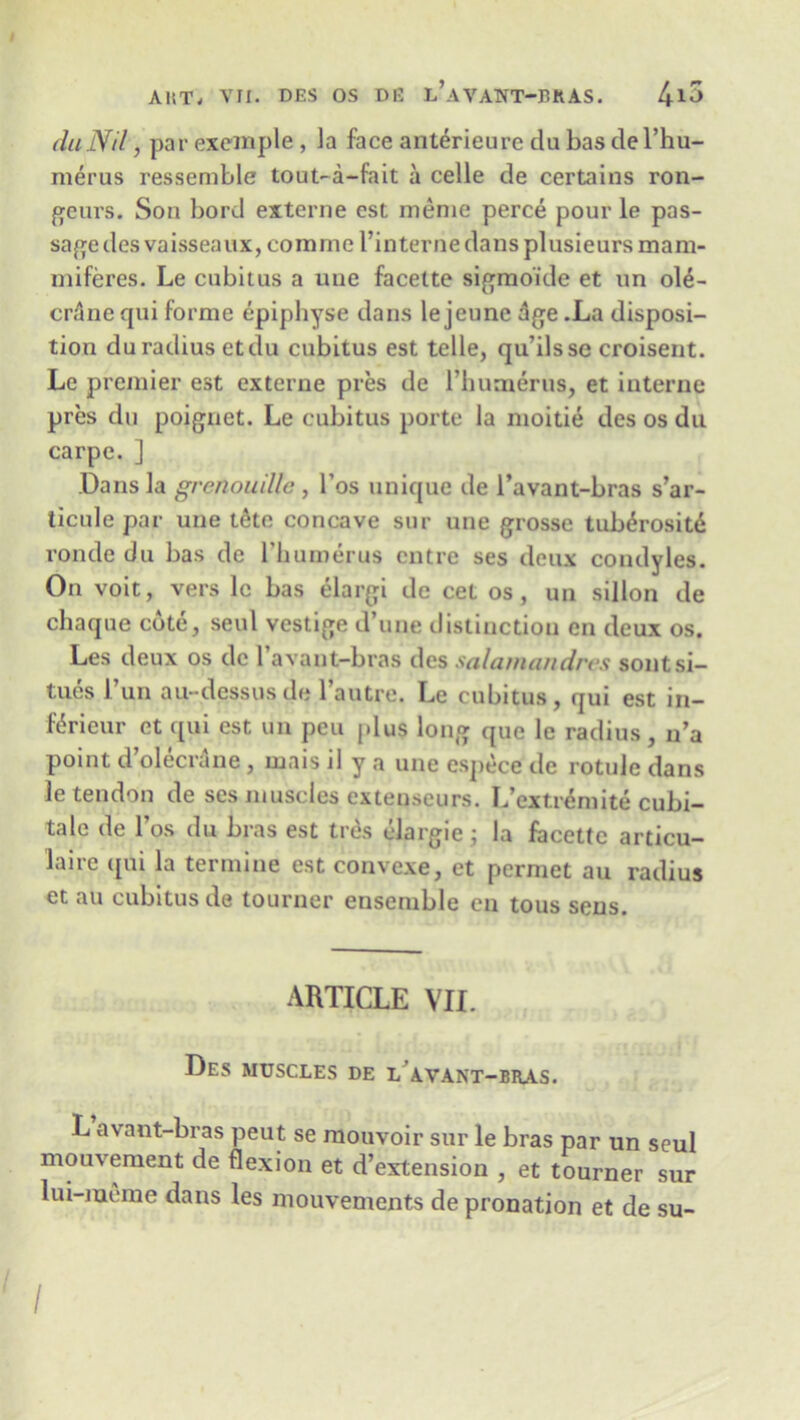da Nil, par exemple, la face anterieure da bas del’hu- merus ressemble tout-a-fait a celle de certains ron- geurs. Son bord externe est menie perce pour le pas- sage desvaisseaux, coinrne Tin terne dans plusieursmam- miferes. Le cubitus a une facette sigmoide et un oU- crAne qui forme epiphyse dans le jeune Age .La disposi- tion du radius etdu cubitus est telle, qu’ilssc croisent. Le premier est externe pres de rhumerus, et interne pres du poignet. Le cubitus porte la moitie des os du carpe. ] Dans la grenouillc , l’os unique de l’avant-bras s’ar- ticule par une tete concave sur une grosse tub^rositd ronde du bas de rhumerus cntre ses deux condyles. On voit, vers le bas elargi de cet os, un sillon de chaque cute, seal vestige d’une distinction en deux os. Les deux os de 1 avant-bras des salamandres sontsi- tues 1’un au- dessus de l’autre. Le cubitus, qui est in- f6rieur et qui est un peu plus long quc le radius, n’a point dolecrane, mais il y a une espece de rotule dans le tendon de ses muscles extenseurs. L’extr&nite cubi- tale de l’os du bras est tres elargie j la facette articu- laire qui la termine est convexe, et permet au radius et au cubitus de tourner ensemble en tous sens. ARTICLE VII. Des muscles de l’avant-bras. L avant-bras peut se mouvoir sur le bras par un seul mouvement de flexion et d’extension , et tourner sur lui-meme dans les mouvements de pronation et de su- /