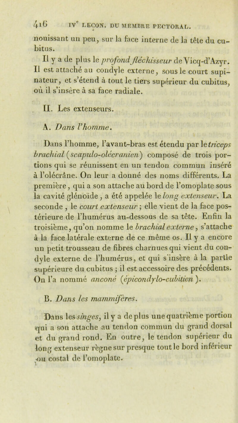 nouissant an peu, sur la face interne de la tele du cu- bitus. II y a de plus le projondJlechisseur de Vicq-d’Azyr. II est attache au condyle externe, sous le court supi- nateur, et s’etend a tout le tiers superieur du cubitus, ou il s’insere a sa face radiale. [I. Les extenseurs. A. Dans I’homme. Dans l’homme, l’avant-bras est etendu par 1 ^triceps brachial (scapulo-olecranien) compose de trois por- tions qui se reunissent en un tendon commun insere a rolecrdne. On leur a donne des noms differents. La premiere, qui a son attache aubord de l’omoplate sous la cavite glenoide , a ete appelee le long extenseur. La seconde , le court extenseur; elle vient de la face pos- terieure de l’liumerus au-dessous de sa tete. Enfin la troisieme, qu’on nomme le brachial externe, s’attache a la face laterale externe de ce meme os. II y a encore un petit trousseau de fibres charnuesqui vient du con- dyle externe de Thumerus, et qui s'insere a la parlie superieure du cubitus ; il est accessoire des precedents. On l’a nomme ancone (epicondylo-cubitien ). | B. Dans les mammijeres. Dans les singes, il y a de plus unequatrieme portion squi a son attache au tendon commun du grand dorsal et du grand rond. En outre, le tendon superieur du long extenseur regne sur presque toutle bord inferieur -ou costal de l’omoplate.