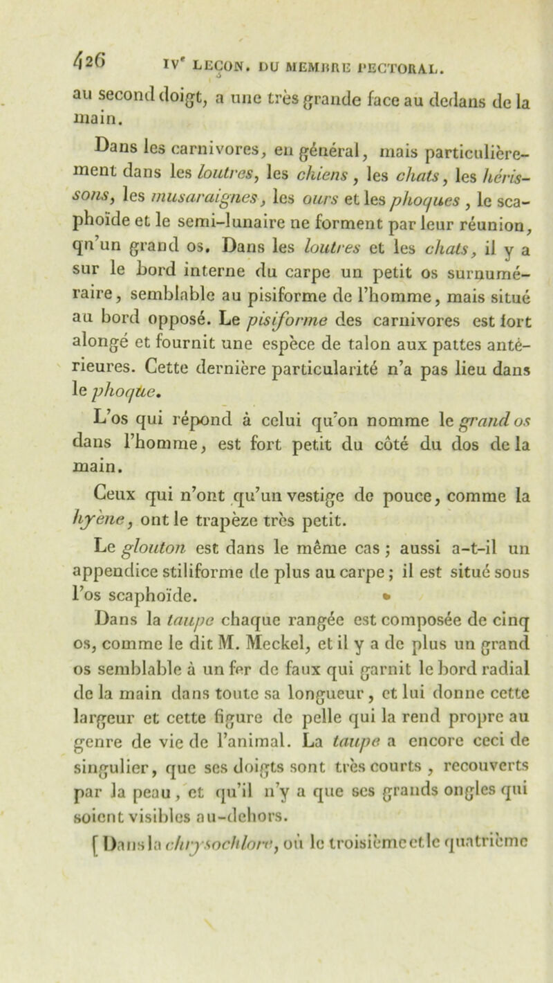 au second doigt, a nne tres grande face au dedans de la main. Dans les carnivores, en general, mais particuliere- ment dans les loutves, les chiens, les chats, les heris- so/is, les musaraignes, les ours et les phoques , le sca- pho'ide et le semi-lunaire ne forment par leur reunion, qn’un grand os. Dans les loutres et les chats, il v a sur le bord interne du carpe un petit os surnume- raire, semblable au pisiforme de Fhomme, mais situe au bord oppose. Le pisiforme des carnivores est lort alonge et fournit une espece de talon aux pattes ante- rieures. Cette derniere particularity n’a pas lieu dans le phor/tie. L’os qui repond a celui qiFon nomme le grand os dans Fhomme, est fort petit du cote du dos de la main. Ceux qui n’ont qu’un vestige do pouce, comme la hjrene, ontle trapeze tres petit. Le glouton est dans le meme cas; aussi a-t-il un appendice stiliforme de plus au carpe ; il est situe sous l’os scaphoide. • Dans la taupe chaque rang^e est composee de cinq os, comme le dit M. Meckel, et il y a de plus un grand os semblable a un fer de faux qui garnit le bord radial de la main dans toute sa longueur , et lui donne cettc largeur et cette figure de pelle qui la rend propre au genre de vie de Fanimal. La taupe a encore ceci de singulier, que scs doigts sont ties courts , reconverts par la peau , ct qu’il n’y a que scs grands ongles qui soient visibles ou-dehors. [ Dans la chrysochlore, oil le troisiemcctlc quatriemc