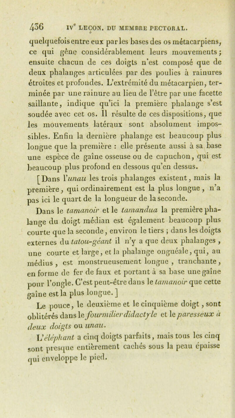 & quelquefoisentre eax paries bases des os metacarpiens, ce qui gene considerablement leurs moavements; ensuite chacua de ces doigls n’est compose qae de deux phalanges articulees par des poulies a rainures etroites et profondes. L’extremite du metacarpien, ter- minee par une rainure au lieu de l’etre par une facette saillante, indique qu’ici la premiere phalange s’est soudee avec cet os. II resulte de ces dispositions, que les mouvements laterqux sont absolument impos- sibles. Enfin la derniere phalange est beaucoup plus longue que la premiere : elle presente aussi a sa base une espece de game osseuse ou de capuchon, qui est beaucoup plus profond en dessous qu’en dessus. [Dans Yunau les trois phalanges existent, mais la premiere, qui ordinairement est la plus longue, n’a pas ici le quart de la longueur de laseconde. Dans le tamanoir et le lamandua la premiere pha- lange du doigt median est egalement beaucoup plus courte que la seconde, environ le tiers ; dans lesdoigts externes du tatou-geant il n’y a que deux phalanges , une courte et large, et la phalange ongueale, qui, au medius , est monstrueusement longue , tranchante, en forme de fer de faux et portant a sa base unegaine pour l’ongle. C’cst peut-etre dans le tamanoir que cette galne est la plus longue.] Le pouce, le deuxieme et le cinquieme doigt, sont obliteres dansle fourmilierdidactyle et le paresseux a deux doigls ou iinau. L’elephant a cinq doigts parfaits, mais tous les cinq sont presque entierement caches sous la peau epaisse qui enveloppe le pied.