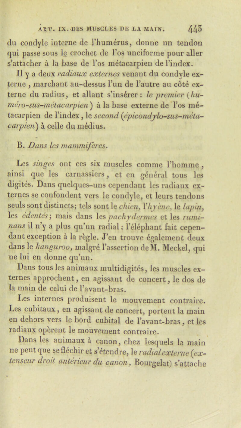 clu condyle interne de l’humerus, donne un tendon qui passe sous le crochet de l’os unciforme pour aller s’attacher a la base de l’os metacarpien del’index. II y a deux radiaux externes venant du condyle ex- terne , marcbant au-dessus l’un de l’autre an cote ex- ternc du radius, et allant s’inserer: le premier (hu- mero-sus-metacarpien ) a la base externe de l’os me- tacarpien de l’index, le second (epicondjrlo-sus-meta- car pieri) a celle du medius. B. Dans les mammiferes. Les singes ont ces six muscles comme l’homme, ainsi que les carnassiers, et en general tous les digites. Dans quelques-uns cependant les radiaux ex- ternes se confondent vers le condyle, et leurs tendons seuls sont distincts; tcls sont le chien, Yhjrene, le lupin, les edentes; mais dans les pachydermes et les rumi- nans il n’y a plus qu’un radial; l’el^phant fait cepen- dant exception a la regie. J en trouve egalement deux dans le kanguroo, malgre l’assertion de IVI. Meckel, qui lie lui en donne qu’un. Dans tousles animaux multidigites, les muscles ex- ternes approchent, en agissant de concert, le dos de la main de celui de l’avant-bras. Les internes produisent le mouvement contraire. Les cubitaux, en agissant de concert, portent la main en dehors vers le bord cubital de l’avant-bras, et les radiaux operent le mouvement contraire. Dans les animaux a canon, chez lesquels la main ne pent que seflechir et s’etendre, le radial externe (ex- tenseur droit anteneur du canon, Bourgelat) s’attache