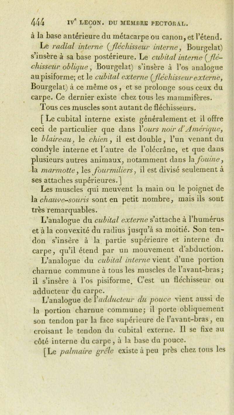 a la base ant&rieure du metacarpe ou canon, et l’etend. Le radial interne (flechisseur interne, Bourse]at) s’insere a sa base posterieure. Le cubital interne (fle- chisseur oblique, Bourgelat) s’insere a l’os analogue aupisiforme; et le cubital externe (flechisseurexterne, Bourgelat) a ce meme os , et se prolonge sous ceux du carpe. Ce dernier existe chez tous ies mammiferes. Tous ces muscles sont autant de flechisseurs. [ Le cubital interne existe generalement et il offre ceci de particular que dans Yours noir d’Amerique, le blaireau, le chien, il est double, l’un venant du condyle interne et Tautre de 1’olecrane, et que dans plusieurs autres animaux, notamment dans la fouine, la marmotte, les fourmiliers, il est divise seulement a ses attaches superieures.] Les muscles qui meuvent la main ou le poignet de la chauve-souris sont en petit nombre, mais ils sont tres remarquables. L’analogue du cubital externe s’attache a l’humerus et a la convexite du radius jusqu’a sa moitie. Son ten- don s’insere a la partie superieure et interne du carpe, qu’il etend par un mouvement dabduction. L’analogue du cubital interne vient d’une portion charnue commune a tous les muscles de l’avant-bras; il s’insere a l’os pisiforme. C’est un flechisseur ou adducteur du carpe. L’analogue de Yadducteur du pouce vient aussi de la portion charnue commune; il porte obliqucment son tendon par la face superieure de I’avant-bras, en croisant le tendon du cubital externe. 11 se fixe au cote interne du carpe, a la base du pouce. [Le palniaire grcle existe a peu prfcs chez tous les