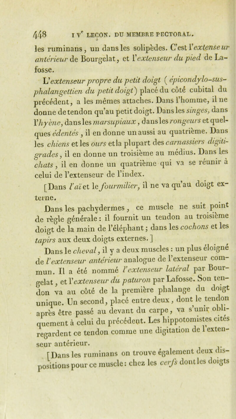 les ruminans, un dansles solipedes. C’est Yexlenseuv anterieur de Bourgelat, et Yexlenseuv (lu pied de La- fosse. L'extenseur propre du petit doigt ( epicondylo-sus- plialangettien du petit doigt) place du cote cubital du precedent, a les memes attaches. Dans l’homme, il ne donne de tendon qu’au petit doigt. Dans les singes, dans I’hyene, dansles marsupiaux, dansles rongeurs et quel- ques edentes , il en donne nnaussi au quatrieme. Dans les chiens et les ours etla plupart des carnassiers digiti- gvades, il en donne un troisieme au medius. Dans les chats, il en donne un quatrieme qui va se reunir a celui de l’extenseur de l’index. [Dans l’diet \e fourmilier, il ne va qu’au doigt ex- terne. Dans les pachydermes, ce muscle ne suit point de regie generate: il fournit un tendon au troisieme doigt de la main de l’elephant; dans les cochons et les tapirs aux deux doigts cxternes. ] Dans le cheval, il y a deux muscles : un plus eloigne de Vextenseur anterieur analogue de l’extenseur com- mun. Il a ktk nomme Vextenseur lateral par Bour- gelat, et 1’extenseur du paluron par Lafosse. Son ten- don va au cote de la premiere phalange du doigt unique. Un second, place entre deux, dont le tendon apres etre pass6 au devant du carpe, va s’umr obli- qucment a celui du precedent. Les hippotomistes cites regardent ce tendon comme une digitation de 1 exten- scur anterieur. [Dansles ruminans on trouve egalement deux dis- positions pour ce muscle: clicz les cerfs dont les doigts