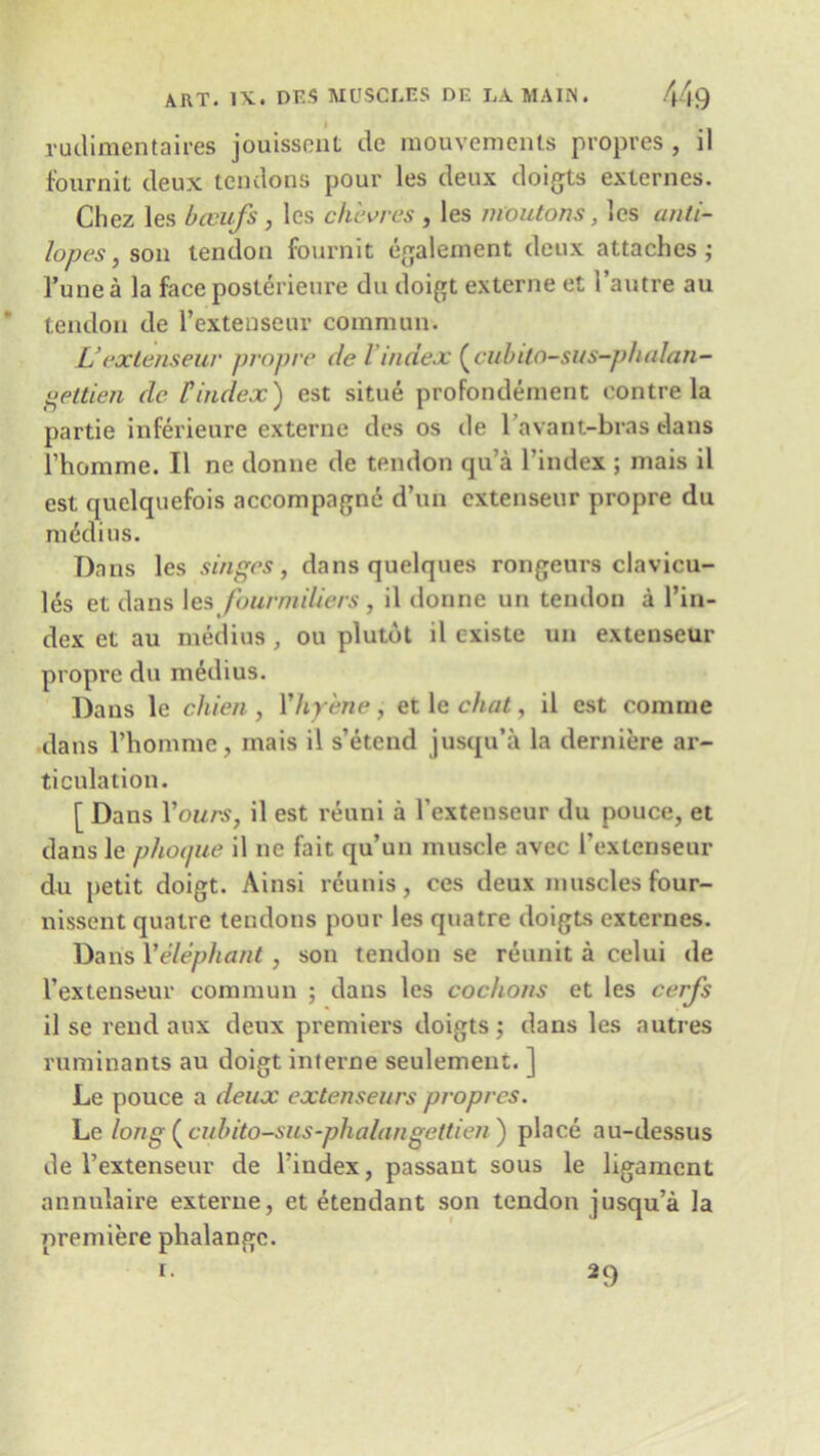 I rudimentaires jouissent tie mouvements propres , ll fournit tleux tendons pour les deux doigts externes. Chez les bcvufs , les chevres , les moutons, les anti- lopes , son tendon fournit egalement deux attaches; Tune a la face posterieure du doigt externe et l’autre au tendon de 1’exteoseur common. L’extenseur propre de l index (cubito-sus-phulan- gettien de Findex) est situe profondement eontre la partie inferieure externe ties os de l’avant-bras dans l’homme. II ne donne de tendon qu’a l’index ; mais il est quclquefois accompagne d’un extenseur propre du raddius. Dans les singes, dans quelques rongeurs clavicu- les et dans les fourmiliers, il donne un tendon a l’in- dex et au medius, on plutdt il cxiste un extenseur propre du medius. Dans le chien , Yhy'ene, et lc chat, il est com me dans l’homme, mais il s’etend jusqu’a la derniere ar- ticulation. [ Dans Yours, il est reuni a l’extenseur du pouce, et dansle photjue il ne fait qu’un muscle avec l’exlenseur du petit doigt. Ainsi reunis, ces deux muscles four- nissent quatre tendons pour les quatre doigts externes. Dans Yelephant, son tendon se reunit a celui de l’extenseur commun ; dans les cochons et les cerjs il se rend aux deux premiers doigts; dans les autres ruminants au doigt interne seulement. ] Le pouce a deux extenseurs propres. Le long ( cub ito-sus-phalan gettien ) place au-dessus de l’extenseur de l'index, passant sous le ligament annulaire externe, et etendant son tendon jusqu’a la premiere phalange. i. 29