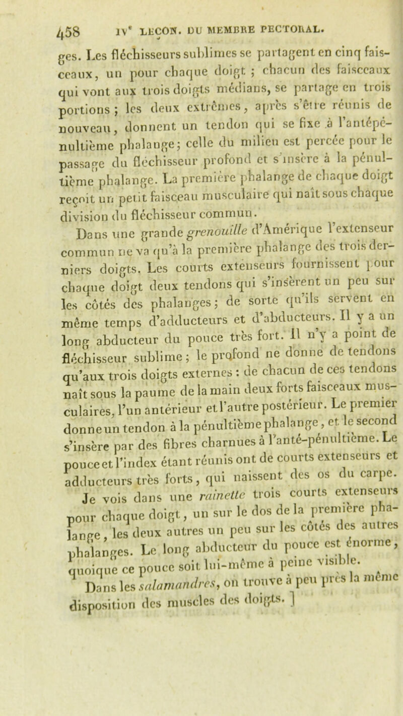 ges. Les fldcbisseurs sublimes se partagenten cinq fais- ccaux, un pour cbaque doigt ; chacun dcs faisccaux qui vont aux trois doigts medians, se part age en tiois portions ; les deux extremes, apres setie rcunis de nouveau, donnent un tendon qui se fixe .a 1 antxpc— nultieme phalange; celle du milieu est percee pour le passage du flechisseur profond et s inscre a la penul- licme'phalange. La premiere phalange de cbaque doigt revolt un petit faisceau musculaire qui naitsous cbaque division du flechisseur comrnun. Dans tme grandc grenouille d’Amerique 1 extenseur comrnun ne va qu’a la premiere phalange des trois der- niers doigts. Les courts extenseurs fournissenl } our chaqne doigt deux tendons qui s’inserent un pen sur les cotes dcs phalanges; de sorte qu ils servent en mbie temps d’adducteurs et d’ahducteurs. II y a un long abducteur du pouce ties fort. II n’v a point de flechisseur sublime; le profond ne donne de tendons qu’aux trois doigts externes : de chacun de ces tendons nait sous la paume de la main deux forts faisceaux mus- culaires, l’un anterieur etl’autre posteneur. Le premier donneuntendon ala penultiemephalange, et lesecom s’insere par des fibres charnues a lW-p£nultieme. Le pouce et l’index etant reunis ont de courts extenseurs et adducteurs tres forts, qui naissent des os du carpe. Je vois dans une rainette trois courts extenseurs pour chaque doigt, un sur le dos de la premiere p a- lanpe, les deux autres un peu sur les cutfe dcs aulres phalanges. Le long abducteur du pouce est inorme, quoique ce pouce soit lui-mfme a pome visible. Dans les salamahdres, oil trouve a pen pres la memo