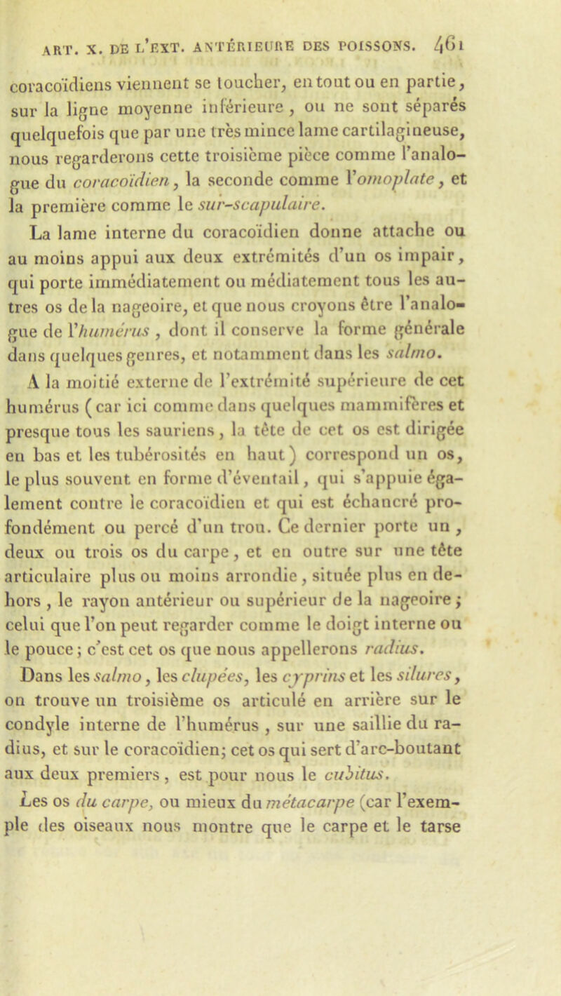 coraco'idiens viennent se loucher, entoatou en partie, sur la ligne moyenne inferieure , ou ne sont separes quelquefois que par une Ires mince lame cartilagineuse, nous regarderons cette troisieme piece comme l’analo- gne du coracoidien, la seconde comme Yomoplate, et la premiere comme le sur-scapulaire. La lame interne du coracoidien donne attache ou au moins appui aux deux extremites d’un os impair, qui porte immediatement ou mediatement tous les au- tres os de la nageoire, el que nous croyons £tre l’analo- gue de Vhumerus , dont il conserve la forme g^nerale dans quelques genres, et notamment dans les salmo. A la moitie externe de l’extnhniui superieure de cet humerus ( car ici comme dans quelques mammiferes et presque tous les sauriens, la tete de cet os cst dirigee en bas et les tuberosites en haut) correspond un os, le plus souvent en forme d’eveutail, qui s’appuie (^ga- lement contre le coracoidien et qui est ^chancre pro- fondement ou perce d un trou. Ce dernier porte un , deux ou trois os ducarpe, et en outre sur une t6te articulaire plus ou moins arrondie , situ6e plus en de- hors , le rayon anterieur ou superieur de la nageoire; celui que Ton peut regarder comme le doigt interne ou le pouce; c cst cet os que nous appellerons radius. Dans les salmo, les clupees, les cjprins et les sdures, on trouve un troisi&me os articule en arriere sur le condyle interne de l humerus , sur une saillie du ra- dius, et sur le coracoidien; cet os qui sert d7arc-boulant aux deux premiers, est pour nous le cubitus. Les os du carpe, ou mieux du metacarpe (car l’exem-