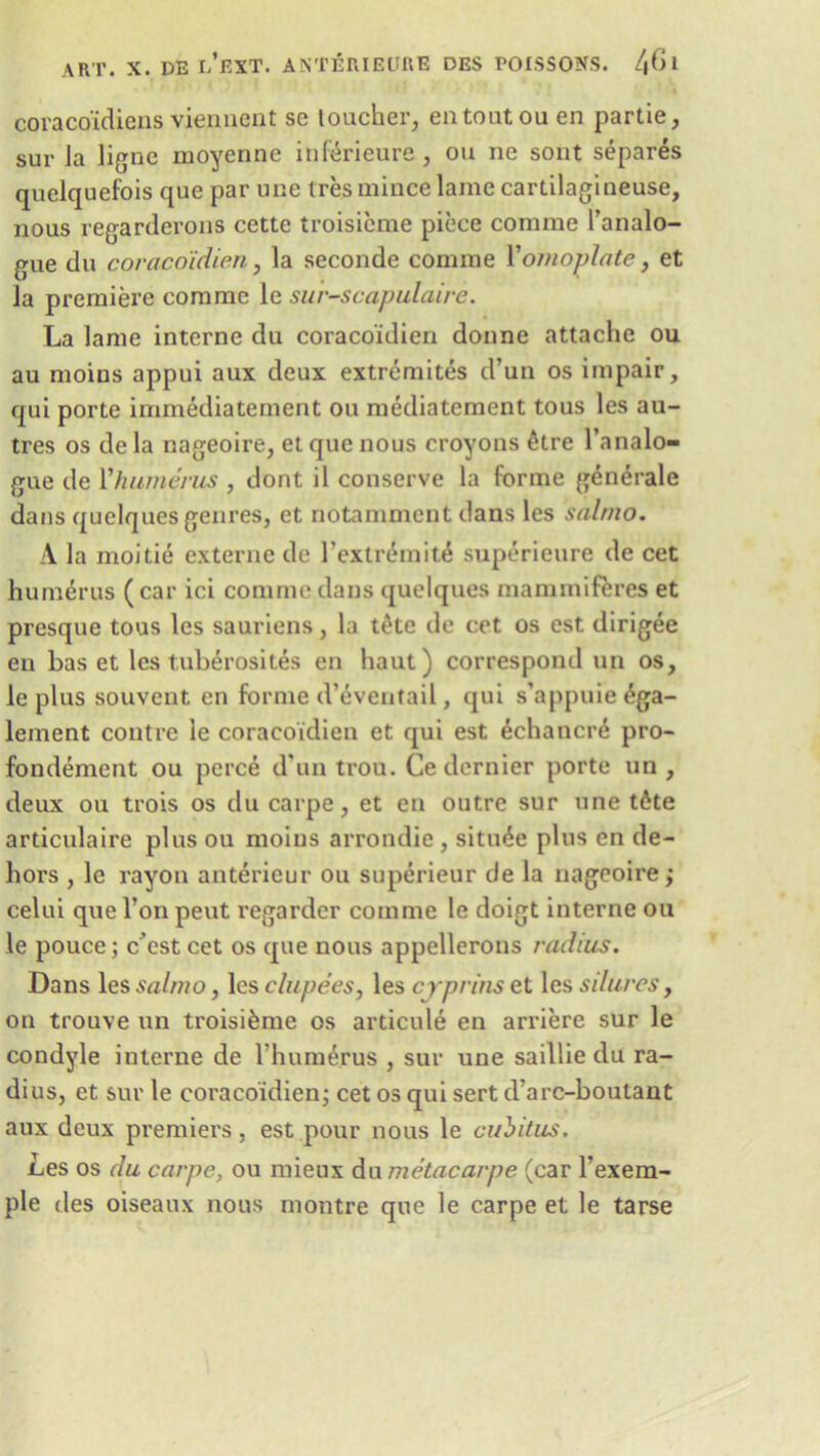 coracoidiens viennent se toucher, entoutoa en partie, sur la ligne moyenne inferieure, ou ne sont separes quelquefois que par une ires mince lame cartilagineuse, nous regarderons cette troisicme piece conime l’analo- gue du coracoidien, la seconde comrae Yomoplate, et la premiere commc le sur-scapulaire. La lame interne du coracoidien donne attache ou au moins appui aux deux extremites d’un os impair, qui porte immediatement ou mediatement tous les au- tres os de la nageoire, et que nous croyons &tre 1’analo- gue de Vhumerus , dont il conserve la forme generale dans quelques genres, et notamment dans les salmo. A la inoitie ex tern e de l’extrdmit^ superieure de cet humerus ( car ici commc dans quelques mam mi feres et presque tous les sauriens, la tete de cet os est dirigee en has et les tuberosites en haut) correspond un os, le plus souvent en forme d’eventail, qui s’appuieiga- lement contre le coracoidien et qui est echancrd pro- fondement ou perce d un trou. Ce dernier porte un , deux ou trois os du carpe, et en outre sur une t6te articulaire plus ou moins arrondie , situ^e plus en de- hors , le rayon anterieur ou superieur de la nageoire; celui que Ton pent regardcr conime le doigt interne ou le pouce; c'cstcet os que nous appellerons radius. Dans les salmo, les clupees, les cjrprins et les sdures, on trouve un troisifeme os articule en arriere sur le condyle interne de l humerus , sur une saillie du ra- dius, et sur le coracoidien; cet os qui sert d’arc-boutant aux deux premiers, est pour nous le cubitus. Les os du carpe, ou mieux dumetacarpe (car l’exem- ple des oiseaux nous niontre que le carpe et le tarse