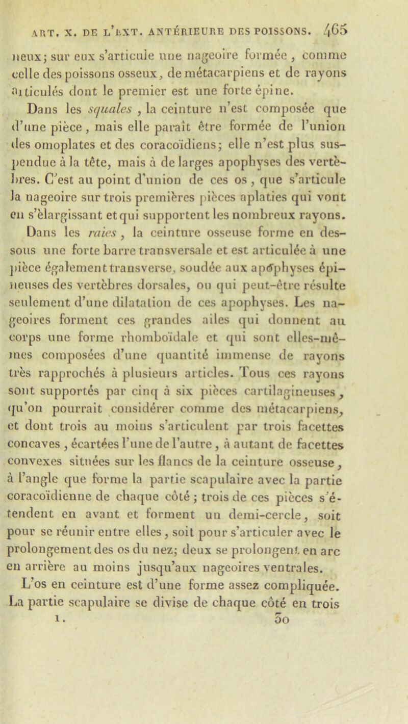 neux; sur eux s’articuie une nageoire formee , comme oclle ties poissons osseux, demetacarpiens et dc rayons ‘Suicides dont le premier est une forte epine. Dans les sc/uales , la ceinture n’est composee que d’une piece, mais elle parait etre formee de Punion des omoplates et des coracoidiens; elle n’est plus sus- pendue a la tete, mais a de larges apophyses des verte- hres. C’est au point d’union de ces os, que s’articuie Ja nageoire surtrois premieres pieces aplaties qui vont cn s’elargissant etqui supportent les nombreux rayons. Dans les rates, la ceinture osseuse forme en des- sous une forte barre transversale et est arlicul^e a une piece ^gafementtransverse, soudt$e aux aptfphyses £pi- neuses des vertebres dorsales, on qui peut-etre resulte settlement d’une dilatation de ces apophyses. Les na- geoires forment ces grandes ailes qui donnent au corps une forme rhombo'idale et qui sont ellcs-me- mes composees d’une quantity immense de rayons tres rapproches a plusieurs articles. Tous ces rayons sont supports par cinq a six pieces cartilagineuses , qu’on pourrait considerer comme des metacarpiens, et dont trois au moius s’articulent par trois facettes concaves , £cartees Tune de l’autre, a autant de facettes convexes siluees sur les flancs de la ceinture osseuse, a I’angle que forme la panic scaputaire avec la partie coraco'idienne de ehaque cote ; trois de ces pieces s e- tendent en avant et forment un demi-cercle, suit pour se reunir entre elles, soit pour s’articuler avec le prolongement des os du nez; deux se prolongent en arc en arriere au rnoins jusqu’aux nageoires ventrales. L’os en ceinture est d’uue forme assez compliquee. La partie scapulaire se divise de ehaque cote en trois i. 5o