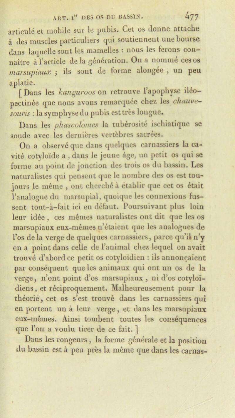 articule et mobile sur le pubis. Get os doune attache a ties muscles particulars qui soutieunent uue bourse dans laquelle sont les mamelics ‘ nous les feions con— naitre a Particle de la generation. On a nomme cesos marsupiaux ; ils sont de forme alongee , un peu aplatie. [ Dans les kanguroos on retrouve l’apophysc ileo- pectinee que nous avons remarquee chez les chauve- souris : la symphysedu pubis esttres longue. Dans les phascolomes la tuberosite ischiatique se soude avec les deruieres vertebres sacrees. On a observe que dans quelques carnassiers la ca- vite cotyloide a , dans le jeune age, un petit os qui se forme an point de jonction des trois os du bassin. Les naturalistes c£ui pensent que le nombre des os est tou- jours le inemc , out chcrche a etablir que cet os 6tait l’analogue du marsupial, quoique les connexions fus- sent tout-a-fait ici en defaut. Poursuivant plus loin leur idee , ces monies naturalistes out dit que les os marsupiaux eux-memes n’etaient que les analogues de l’os de la verge de quelques carnassiers, parce qu’il n’y en a point dans celle de 1’animal chez lequel on avait trouve d’abordce petit os cotyloidien : ils annoncaient par consequent que les animaux qui out un os de la verge, n’ont point d’os marsupiaux , ni d’os cotylo'i- diens, et reciproquement. Malheureusement pour la theorie, cet os s’est trouve dans les carnassiers qui en portent un a leur verge, et dans les marsupiaux eux-memes. Ainsi tombent toutes les consequences que l’on a voulu tirer de ce fait. ] Dans les rongeurs, la forme generale et la position du bassin est a peu pres la raeme que dans les carnas-