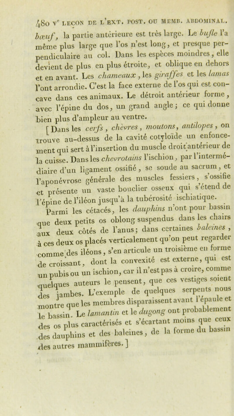 bccuf, la partie anterieure est tres large. Le buJLe l’a meme plus large que l’os n’est long, et presque per- pencliculaire au col. Dans les especes moindres, elle devient de plus en plus etroite, et oblique en dehors et en avant. Les chameaux , les giraffes et les lamas Pont arrondie. C’est la face externe de Pos qui est con- cave dans ces animaux. Le detroit anterieur forme, avec l’epine du dos, un grand angle; ce qui donne bien plus d’ampleur au ventre. r Dans les cerfs , chevres, moutons, antdopes , on trouve au-dessus de la cavite cotylo'ide un enfonce- ment qui sert al’insertion du muscle droitanterieur de la cuisse. Dans les chevrotains l’ischion, pari interme- diate d’un ligament ossifie , se soude au sacrum, et l’aponevrose generale des muscles fessiers, s’ossifie ct presente un vaste bouclier osseux qui s etend de bepine de l’ileon jusqu’a la tuberosite ischiatique. Parmi les cetaces, les dauphins n’ont pour bassin que deux petits os oblong suspendus dans les chairs aux deux cotes de Panus; dans certames balemes , a ces deux os places verticalement qu’on peut regarder comme des ildons, s’en articule un troisieme en forme de croissant, dont la convexitd est externe, qu. est u„ pubis on un ischion, car il n’est pas a cro.re, comme nuelques auteurs le pensent, que ces vestiges so.eut deS iambes. L’exemple de quelques serpents nous montre que les membres disparaissentava.it 1 epaule et le bassin Le lamantin ct le dugong ont probablement des os plus caractdrisds et s’ecartant moins que ceux des dauphins et des balemes, de la forme du assn, des autres inammiferes. ]