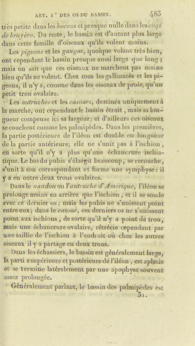 tves petite clans les lioccos et presque nulle dans lescoqs debrujeve. Dn reste, le bassin est d’autant plus large dans cette famille d’oiseaux qu’ils volent morns. Les pigeons et les gangas, quoique volant tres bien, om cependant le bassin presque aussi large que long ; mais on sait que ces oiseaux ne marchent pas moins bien qu’ils ne volent. Chez tons les gallinaces et les pi- geons, il n’y a, cotnme dans les oiseaux de proie, qu’un petit Iron ovalaire. Les nutruches ct les casoars, destines uniquementa la marche, ont cependant le bassin 6troit, mais sa lon- gueur compense ici sa largeur; et d’ailleurs ces oiseaux secouchent comme les palmipedes. Hans les premieres, la partie posterieure de l’il6on est double on longueur de la partie anterieure; ellc ne s’unit pas a l’ischion, en sorte qu’il n’y a plus cpi’iine ecbancrure iscliia- tique.Lebasdu pubis s’elargit beaucoup, serecourbe, s’unit ft son correspondent et forme une symphyse: il y a en outre deux trous ovalaires. Dans le nandoit on Yautruche d*Amcrique, l’ileon se prolonge moins en arriere que l’ischion , et il se soude avec ce dernier os ; mais les pubis ne s’unissent point entreeux; dans le casoar, ces derniers os ne s'unissent point aux ischions , de sorte qu'il n’y a point de trou, mais une ecbancrure ovalaire, r£tr6cie cependant par une saillie de l’ischion a l’endioit ou chez les autres oiseaux il y a partage en deux trous. Dans les echassiers, le bassin est g^neralemeut large, la parti esuperieure et posterieure de 1’ileon , est aplatie et se termine lateralement par une apophyse souvent assez prolongee. Gen6ralement parlant, le bassin des palmipedes est 3i.