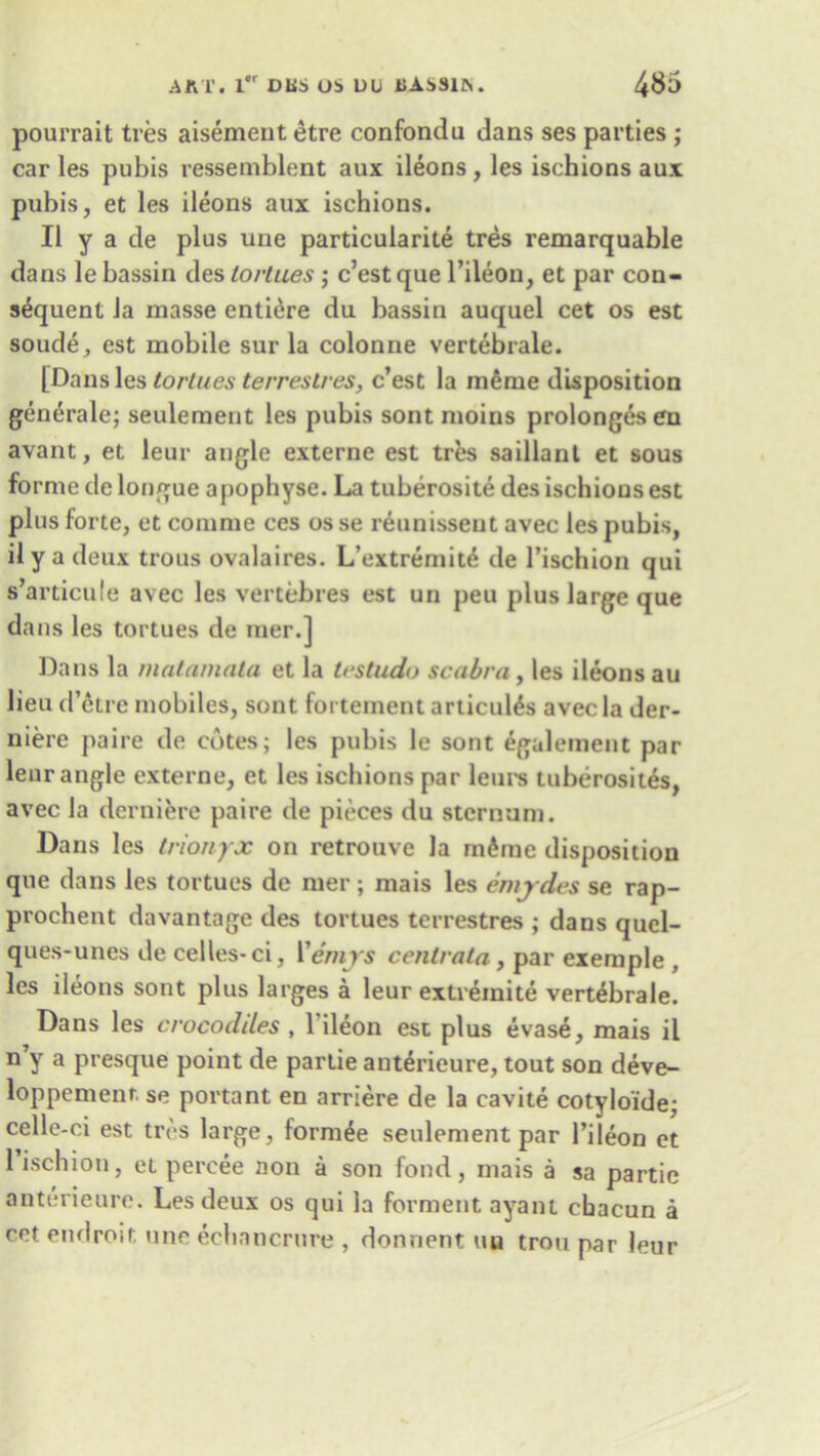 pourrait tres aisement etre confondu dans ses parties ; car les pubis ressemblent aux ileons , les ischions aux pubis, et les ileons aux ischions. II y a de plus une particularity tres remarquable dans lebassin des tortues; c’estque l’ileou, et par con- sequent la masse entiere du bassin auquel cet os est soude, est mobile sur la colonne vertebrate. [Dans les tortues terreslres, c’est la meme disposition generale; seulement les pubis sont moins prolongesen avant, et leur angle externe est tres saillant et sous forme de longue apophyse. La tuberosite des ischions est plus forte, et comme ces os se reunissent avec les pubis, ily a deux trous ovalaires. L’extremit£ de l’ischion qui s’articule avec les vertebres est un peu plus large que dans les tortues de raer.] Dans la matamata et la lestudo scabra, les ileons au lieu d’etre mobiles, sont fortement articul^s avec la der- niere paire de cotes; les pubis le sont egaleinent par leur angle externe, et les ischions par leurs tuberosites, avec la derniere paire de pieces du sternum. Dans les trionyx on retrouve la rn^rae disposition que dans les tortues de mer; mais les emjdes se rap- prochent davantage des tortues terrestres ; dans quel- ques-unes de celles-ci, Vemys centrala , par exemple , les ileons sont plus larges a leur extremite vertebrale. Dans les crocodiles , 1 ileon est plus evase, mais il n y a presque point de partie auterieure, tout son deve- loppemenr. se portant en arriere de la cavite cotyloi'de; celle-ci est tres large, formee seulement par l’ileon et lischion, et percee non a son fond, mais a sa partie auterieure. Les deux os qui la ferment ayani chacun a cet endroit une echancrure , donnent uu trou par leur