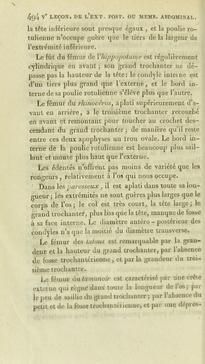 la t6te inf^rieure sont presque egaux , et la poulie ro- tulienne n’occupe guere que le tiers de la largeur de 1’extremity inferienre. Le fut da femur de Yhippopotame est regulierement cylindrique en avant ; son grand trochanter ne de- passe pas la hauteur de la t&te: le condyle inteine est d’un tiers plus grand que l’externe, et le Lord in- terne de sa poulie rotulienne s’eleve plus que l’autre. Le femur du rhinoceros, aplati superieurement d’a- vant en arriere, a le troisieme trochanter recourbe cn avant et remontant pour toucher au crochet des- cendant du grand trochanter 5 de maniere qu’il reste entre ces deux apophyses un trou ovale. Le Lord in- terne de la poulie rotulienne est beaucoup plus sail— lant et monte plus haut que l’externe. Les edentes 11’offrent pas moins de variele que les rongeurs, relativement a l’os qui nous occupe. Dans les paresseux, il est aplati dans toute sa lon- gueur ; les extremites ne sont gueres plus larges que le corps de l’os; le col est tres court, la tete large 5 le grand trochanter, plus has que la tete, manque de fosse a sa face interne. Le diametre antero - posterieur des condyles n’a que la moitie du diametre transverse. Le femur des LaLous est remarquable par la gran- deur et la hauteur du grand trochanter, par l’abscnce de fosse trochanterienne, etparla grandeur du troi- sieme trochanter. Le femur du tamanoir cst caracterise par une cr6ie externe qui regue dans toute la longueur de i os; par le peu de saillie du grand trochanter; par l’abscnce du petit et de la fosse trochanterienne, et par une clepres-