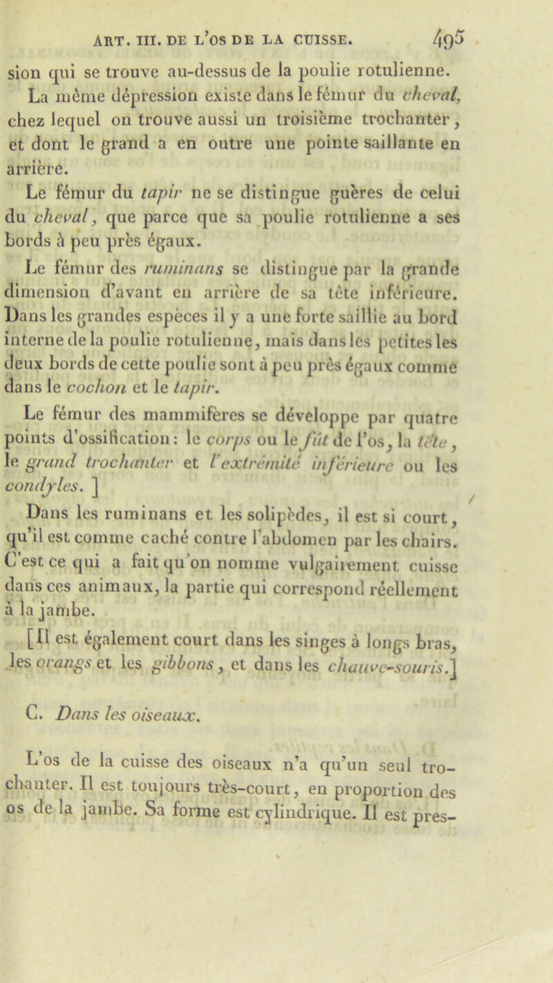 sion qui se trouve au-dessus de Ja poulie rotulienne. La meme depression existe dans le femur du cheval, chez leqnel on trouve aussi un iroisieme trochanter, et dont le grand a en outre une pointe saillante en arriere. Le femur du tapir ne se distingue gueres de celui du cheval, que parce que sa poulie rotulienne a ses Lords a peu pres egaux. Le femur des ruminans se distingue par la grande dimension d’avant en arriere de sa tete inferieure. Dans les grandes especes il y a une forte saillie au Lord interne de la poulie rotulienne, inais dans les pelitesles deux bords de cette poulie sont a peu pres £gaux comme dans le coclion et le tapir. Le femur des mammiferes se developpe par quatre points d’ossification: le corps ou \efiit de 1’os, la tele, le grand trochanter et l’extreniite inferieure ou les condjles. ] Dans les ruminans et les solipMes, il est si court, qu’il est comme cache contre rabdomen par les chairs. C’estcequi a fait qu’on nomine vulgaiiement cuisse dansces animaux, la partie qui correspond reellement a la jambe. [Il est egalement court dans les singes a longs bras, les qrangs et les gibbons, et dans les chaave-souris.\ C. Dans les oiseaux. L os de la cuisse des oiseaux n’a qiVun seul tro- chanter. Il est toujours tres-court, en proportion des os de la jambe. Sa forme est cylindrique. Il est pres-