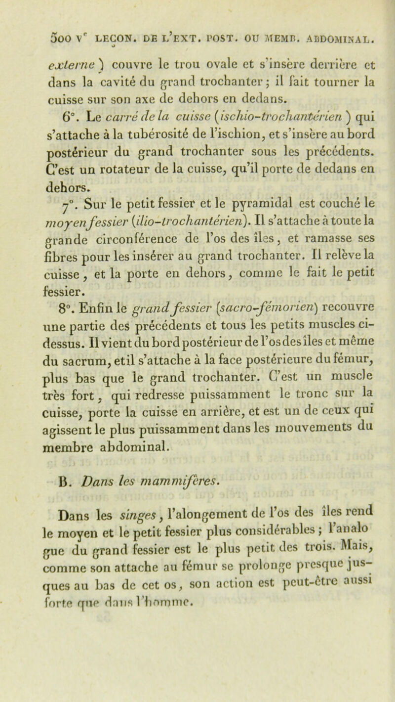 o exlerne ) couvre le trou ovale et s’insere derriere ct clans la cavite du grand trochanter; il fait tourner la cuisse sur son axe de dehors en dedans. 6°. he carre de la cuisse (ischio-trochanterieri ) qui s’attache a la tuberosite de i’ischion, et s’insere au bord post^rieur da grand trochanter sous les precedents. G’est un rotateur de la cuisse, qu’il porte de dedans en dehors. 70. Sur le petit fessier et le pyramidal est couche le rnoyenfessier (ilio-trochanterien). II s’attache a toute la grande circonference de l’os des lies, et ramasse ses fibres pour les insurer au grand trochanter. II relevela cuisse, et la porte en dehors, comrne le fait le petit fessier. 8°. Enfin le grand fessier [sacro-femorien) recouvre une partie des precedents et tous les petits muscles ci- dessus. II vient du bord posterieur de l’osdeslies et meme du sacrum, etil s’attache a la face posterieure du femur, plus bas que le grand trochanter. (Vest un muscle tres fort. qui redresse puissamment le tronc sur la cuisse, porte la cuisse en arriere, et est un de ceux qui agissent le plus puissamment dans les inouvements du membre abdominal. 15. Dans les mammferes. Dans les singes, l’alongement de l’os des lies rend le moyen et le petit fessier plus considerables; l’analo gue du grand fessier est le plus petit des trois. Mais, comme son attache au femur se prolonge prcsquc jus- quesau bas de cet os, son action est pcut-ctrc aussi forte que dans rhomme.