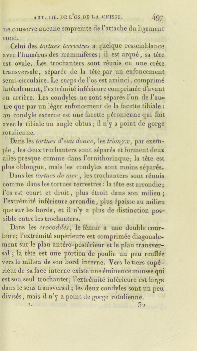 lie conserve aucune empreinte tie l’attache clu ligament rond. Celui ties tortues terrestres a quelque ressemblance avec l’humerus ties mammiferes; il est arque, sa tete est ovale. Les trochanters sont reuuis en une Crete transversale, separee tie la tete par un eufoncement semi-circulaire. Lc corps de l’os est aminci, comprime lateraleruent, l’extremite inferieure comprimee d’avant en arriere. Les condyles lie sont separes l’un tie l’au** tre qne par un leger eufoncement tie la facette tibiale : au condyle externe est une facette p^ronienne qui fait avec la tibiale un angle obtus ; il n’y a point tic gorge rotulienne. Dans les tortues (Venn douce, les trionyx, par exem- plc , les deux trochanters sont separes et forment deux ailes presque comme dans l’ornithorinque; la tete est plus oblongue, mais les condyles sont moins separes. Dans les tortues de mer, les trochanters sont r£uuis comme dans les tortues terrestres : la ttke est arrondie; l’os est court et droit, plus etroit dans son milieu j rextremite inferieure arrondie, plus epaisseau milieu que sur les bortls, et il n’y a plus de distinction pos- sible entre les trochanters. Dans les crocodiles, le femur a une double cour- bure; l’extremite superieure est comprimee diagonale- ment sur le plan antero-posterieur et le plan transver- sal ; la t&te est une portion de poulie un peu renfl^e vers le milieu de son bord interne. Vers le tiers sup£- rieurde sa face interne existe une eminence mousse qui est son seal trochanter; I’extremite inferieure est large dans lesens transversal; les deux condyles sont un peu divises, mais il n’y a point de gorge rotulienne.