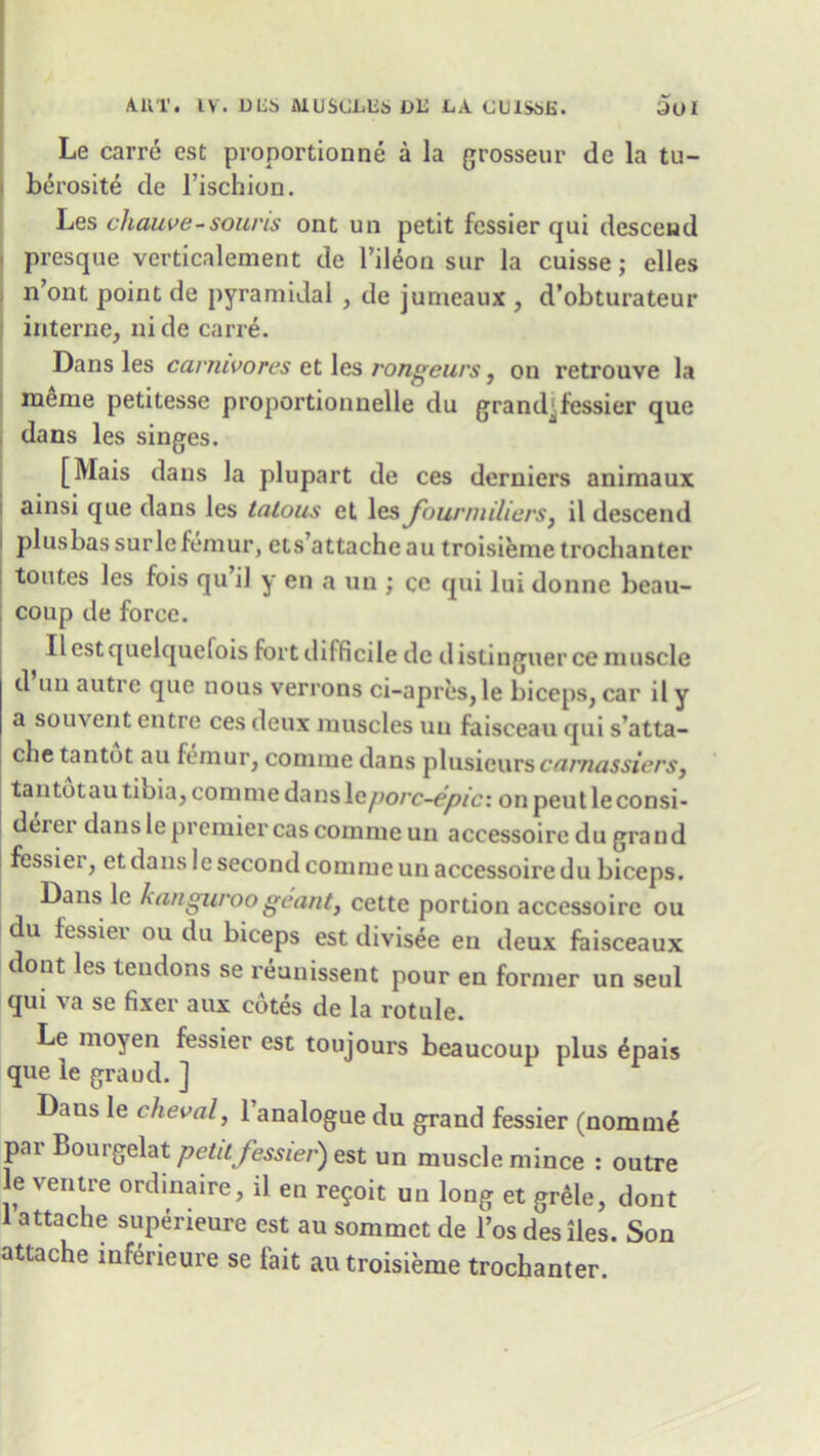 Le carre cst proportionne a la grosseur de la tu- berosite de Fischion. Les cliauve-souris ont un petit fessier qui descend presque verticalement de Fileon sur la cuisse; elles n’ont point de pyramidal , de jumeaux , d’obturateur interne, ni de carre. Dans les carnivores et les rongeurs, on retrouve la meme petitesse proportionnelle du grand^ fessier que dans les singes. [Mais dans la plupart de ces derniers animaux ainsi que dans les talous et les fourmiliers, il descend plusbas sur le lemur, ets’attache au troisieme trochanter toutes les fois qu’il y en a un ; ce qui lui donne beau- coup de force. I Ilestquelquefois fort difficile de distinguerce muscle d un autre que nous verrons ci-apres, le biceps, car il y a souvent entre ces deux muscles un faisceau qui s’atta- chetantot au femur, comme dans plusicurscarnassiers, tantotau tibia, comme dans\cporc~epici onpeut leconsi- deiex dans le premier cas comme un accessoire du grand fessiei, et dans le second comme un accessoire du biceps. Dans lc kanguroogeant, cette portion accessoire ou du fessiei ou du biceps est divisee eu deux faisceaux dont les tendons se reunissent pour en former un seul qui va se fixer aux cotes de la rotule. Le moyen fessier est toujours beaucoup plus £pais que le grand. ] Dans le clieval, 1 analogue du grand fessier (nomm£ par Bourgelat petit fessier') est un muscle mince : outre le ventre ordinaire, il en re?oit un long et grele, dont 1 attache superieure est au sommet de Fos des lies. Son attache inferieure se fait au troisieme trochanter.