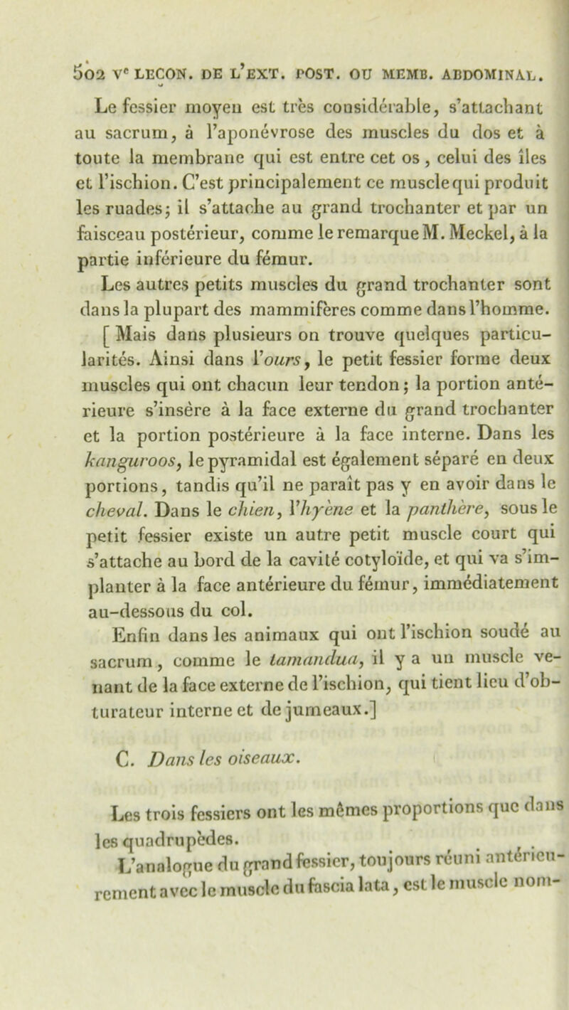 Sj Le fcssier moyeu est tres considerable, s’attachant au sacrum, a l’aponevrose des muscles du dos et a toute la membrane qui est entre cet os , celui des lies et l’ischion. C’est principalement ce muscle qui produit les ruades; il s’attache au grand trochanter et par un faisceau posterieur, comme le remarqueM. Meckel, a la partie inferieure du femur. Les autres petits muscles du grand trochanter sont dans la plupart des mammiferes comme dansl’homme. [ Mais dans plusieurs on trouve quelques particu- larites. Ainsi dans ['ours, le petit fessier forme deux muscles qui out chacun leur tendon; la portion ante- rieure s’insere a la face externe du grand trochanter et la portion posterieure a la face interne. Dans les kanguroos, le pyramidal est egalement separe en deux portions, tandis qu’il ne paralt pas y en avoir dans le cheval. Dans le chien, Yhyens et la panthere, sousle petit fessier existe un autre petit muscle court qui s’attache au bord de la cavite cotyloide, et qui va s’im- planter a la face anterieure du femur, immediatement au-dessous du col. Enfin dans les animaux qui out l’ischion soude au sacrum, comme le lamandua, il y a un muscle ve- nant de la face externe de l’ischion, qui tient lieu d’ob- turateur interne et dejurneaux.] C. Dans les oiseaux. Les trois fessiers ont les monies proportions que dans lesquadrupedes. . L’analogue du grand fessier, toujours reuni anttrieu- rcmentavcclc muscle du fascia lata, est le muscle nom
