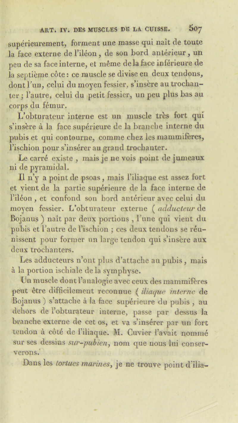 superieurement, forment une masse qui nait de toute la face extcrne de l’ileon, de son bord anterieur, un pea de sa face interne, et raeme de la face inferieure de la septieme cote: ce muscle se divisc en deux tendons, dont l ’un, celui du moyen fessier, s’insere au trochan- ter ; l’autre, celui du petit fessier, un peu plus has au corps du femur. L’obturateur interne est un muscle tres fort qui s’insere a la face superieure de la branclie interne du pubis et qui contourne, comme chez les mammiferes, l’ischion pour s’inserer au grand trochanter. Le carre existc , mais je ne vois point de jumeaux ni de pyramidal. II n’y a point de psoas , mais 1’iliaque est assez fort et vient de la partie superieure de la face interne de l’ildon , et confond son hord anterieur avee celui du moyen fessier. L’obturateur externe £ adducteur de Bojanus ) nait par deux portions , l’une qui vient du pubis et I’autre dc Vischion ; ces deux tendons se reu- nissent pour former un large tendon qui s’insere aux deux trochanters. Les adducteurs n’ont plus d’attache au pubis , mais a la portion ischiale de la symphyse. (jn muscle dont l’analogie avec ceux des mammiferes pent etre difficilemeut reconnue ( iliacfue interne de Bojanus ) s’attache a la face superieure du pubis , au dehors de 1’obturateur interne, passe par dessus la branche externe de cet os, et va s'inserer par un fort tendon a cote de l’iliaque. M. Cuvier l’avait nomine sur ses dessins sur-pubien, nom que nous lui conser- verons.' Dans les torlu.es marines, je ne trouve point d ilia-