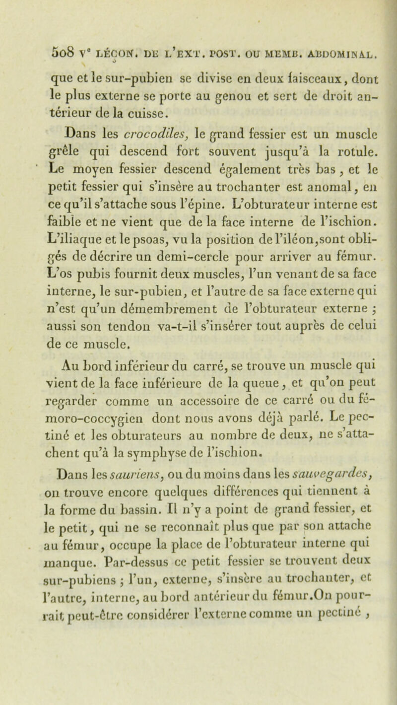 que ct le sur-pubien se divise en deux laisceaux, dont le plus externe se porte au genou et sert de droit an- terieur de la cuisse. Dans les crocodiles, le grand fessier est uri muscle grele qui descend fort souvent jusqu’a la rolule. Le moyen fessier descend egalement tres bas , et le petit fessier qui s’insere au trochanter est anomal, en ce qu’il s’attache sous l’epine. L’obturateur interne est faible et ne vient que de la face interne de l’ischion. L’iliaque et le psoas, vu la position de l’ileon,sont obli- ges de decrire un demi-cercle pour arriver au femur. L’os pubis fournit deux muscles, Fun venantde sa face interne, le sur-pubien, et l’autre de sa face externe qui n’est qu’un demembrement de Fobturateur externe ; aussi son tendon va-t-il s’insercr tout aupres de celui de ce muscle. Au bord inferieur du carre, se trouve un muscle qui vient de la face inferieure de la queue , et qu’on peut regarder comme un accessoire de ce carre ou du fe- moro-coccygien dont nous avons deja parle. Le pec- tine et les obturateurs au nombre de deux, ne s’atta- chent qu’a la sympbyse de Fischion. Dans les sauriens, ou du moins dans les sauvegardes, on trouve encore quelques differences qui tiennent a la forme du bassin. II lFy a point de grand fessier, et le petit, qui ne se reconnait plus que par son attache au femur, occupe la place de Fobturateur interne qui manque. Par-dessus ce petit fessier se trouvent deux sur-pubicns ; Fun, externe, s’insere au trochanter, et l’autrc, interne, au bord anterieurdu femur.On pour- rait peut-Gtro considercr Fexterne comme un peciine ,