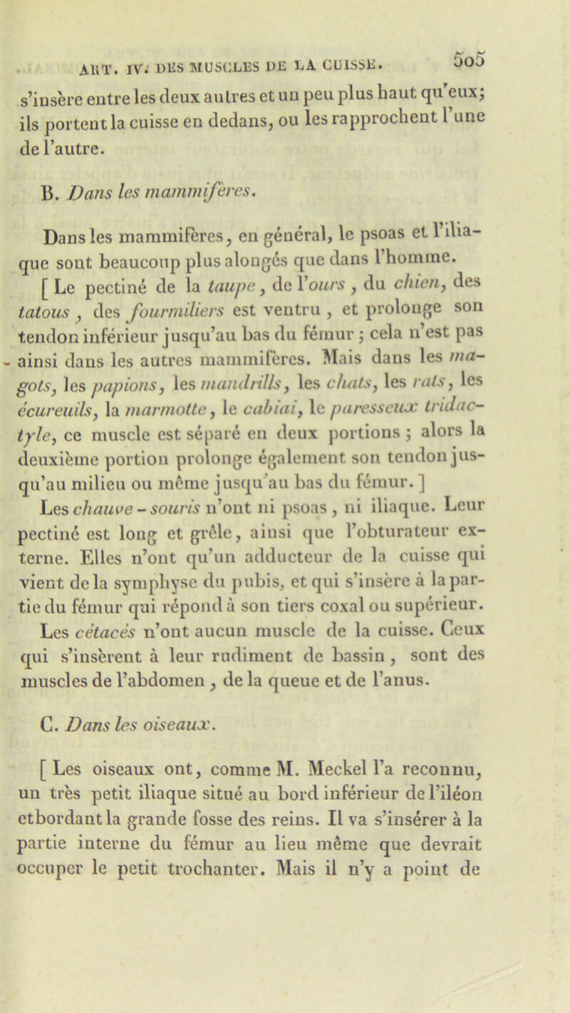 s’insere entre les deux aulres et uu peu plus baut qu eux; ils portent la cuisse en dedans, ou les rapprochent 1 une de l’autre. 15. Bans les mammiferes. Dans les mammiferes, en general, lc psoas et l’ilia- que sout beaucoup plus alouges que dans 1 homme. [ Le pectine de la taupe, de Yours , du chien, des talous , des fourmiliers est ventru , et prolonge son tendon inferieur jusqu’au bas du femur ; cela n est pas - ainsi dans les autres mammiferes. Mais dans les ma- gols} les papions, les mandrills, les chats, les rats, les ecureuils, la marniotte, le cabiai, le paresseux tridac- tyle, ce muscle est separe en deux portions ; alors la deuxieme portion prolonge egalement son tendon jus- qu’au milieu ou meme jusqu’au bas du femur. ] Leschauve-souris n’ont ni psoas, ni iliaque. Lcur pectine est long et grele, ainsi que l’obturateur ex- terne. Elies n’ont qu’un adducteur de la cuisse qui vient dela symphyse du pubis, et qui s’insere a la par- tie du femur qui repond a son tiers coxal ou superieur. Les cetaces n’ont aucun muscle de la cuisse. Ceux qui s’inserent a leur rudiment de bassin, sont des muscles de l’abdomen , de la queue et de l’anus. C. Bans les oiseaux. [Les oiseaux ont, comme M. Meckel l’a reconnu, un tres petit iliaque situe au bord inferieur de l’ileon etbordantla grande fosse des reins. II va s’inserer a la partie interne du femur au lieu meme que devrait occuper le petit trochanter. Mais il n’y a point de