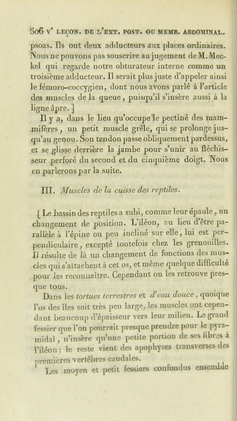 psoas. Us ont deux adducteurs aux places ordinaires. Nous ne pouvons pas souscrire au jugement de M. Mec- kel qui regarde notre obturateur interne comrae un troisiemc adducteur. II serait plus juste d’appeler ainsi le femoro-coccygien, dont nous avons parle a l’article des muscles de la queue, puisqu’il s’insere aussi a la ligne apre. ] 11 y a, dans le lieu qu’occupe le pectine des mam- mi feres ; un petit muscle grele, qui se prolongejus- qu’au genou. Son tendon passe obliquement pardessus, et se glisse derriere la jambe pour s’unir au flechis- seur perfore du second et du cinquieme doigt. Nous cn parlerons par la suite. III. Muscles de la cuisse des reptdes. [ Le bassin des reptiles a subi, comme leur epaule, un changement de position. L ileon, au lieu detre pa- rallel a i’epine ou peu incline sur elle, lui est pcr- pendiculaire, excepte loutefois chez les grenouilles. II resulte de la un changement de fonctions des mus- cles qui s’alta client a cet os, et meme quelque difflculte pour Jes recounaitre. Cependant on les retrouve pres- que to us. Dans les tovtues terrestres et d eau douce, quoique l’os des lies soil tres peu large, les muscles out cepen- dant beaucoup d’epaisseur vers leur milieu. Le grand fcssier que Ton pourrait presque prendre pour le pyra- midal , n’insere qu’une petite portion de ses fibres a l’il^on ; lc reste vient des apophyses transverses des nremieres vert^brcs caudales. * Les moycn et petit fcssicrs confondus ensemble