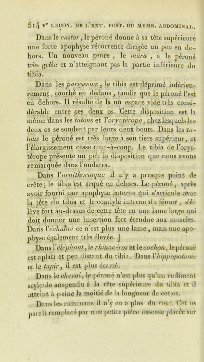 Dansle castor, leperone donne a sa tdte superieure une forte apophyse recurrente dirigee un peu en de- hors. Un nouveau genre , le mara , a le perone tres grele et n’atteignant pas la partie inKrieure du tibia. Dans les paresseux , le tibia ost d<5prim6 inferieu- rement, courbe en dedans , tandis que le perone 1’est en dehors. II resulte de la un espace vide ti es consi- derable entre ces deux QS. Cette disposition est la merae dans les tatous et X orycterope, cfiezlesquelsles deux os se soudent par leurs deux bouts. Dans les ta- tous le perone est ties large a son tiers superieur, et l’elargissement cesse tout-a-coup. Le tibia de l’oryc- terope presente un pen la disposition que nous avons remarquee dans l’ondatra. Dans Fornithorimjue il n’y a presque point de Crete j le tibia est arque e.n dehors. Le perone, a pres avoir fourni une apophyse interne qui s’articule avec la tete du tibia et le condyle interne du femur, s’e- leve fort au-dessus de cette tete en une lame large qui doit donner une insertion fort etendne aux muscles. Dans Vechidna ce n’cst plus une lame , mais une apo- physe egalement tres elevee. j Dans X elephant, le rhinoceros et le cochin, leperone estaplati et peu distant du tibia. Dans Xhippopolame et le tapir} il est plusecarte. Dans 1 echevat, 1c perone n’est plus qu’trti rudiment stvloide suspendu a la tete superieure du tibia et il atteint a peine la moitie dela longueur de cet os. Dans les ruminans il n’y en a plus du tout. Cet os parnit remplace par tnre petite }>is>ce osseuse placee sur