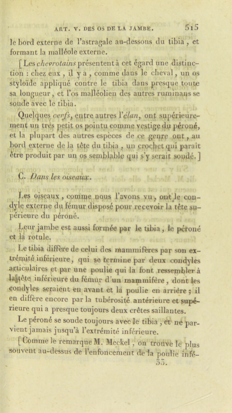 le bord externe tie l’astragale au-dessous du tibia , et formant la malleole externe. [ Les clievrotains presentent a cet egard une distinc- tion : chez eux , il y a , comme dans le cheval, un os stylo'ide applique contre le tibia dans presque toute sa longueur, et l’os malleolien des autres ruminausse soude avec le tibia. Quelques cajs} entre autres Yelan, ont superieure- ment un tres petit os pointu comine vestige d.u peroue, et la plupart des autres especes de ce genre out, au bord externe de la tdte du tibia , un crochet qui para it etre produit par un os semblable qui s’y scrait soude. ] C. /Jans les oi&eawv. Les ojseaux , comiue nous 1’avons vu, out le cou- dylq externe du femur dispose pour recevoir la tete su- perieure du peroue. Leur jambe est aussi form^e par le tibia, le peroue et la rotule, Le tibia differe de celui des in a mini feres par son ex- tremity inferieure, qui se termine par deux condyles articulaires et par une poulie qui la lont ressembler a la^tete inlerieuredu lemur d un mammifere, dont les condyles seraient en avaut et la poulie en arri^re ; il en differe encore par la tuberosite anterieure et sup^- rieure qui a presque toujours deux cretes saillantes. Le p£rone se soude toujours avec le tibia , et ne par- vient jamais jusqu a l’extremite inferieure. [ Comme le remarqueM. Meckel , on trouve le plus sou vent au-dessus de l’enfoncement de la poulie infe-