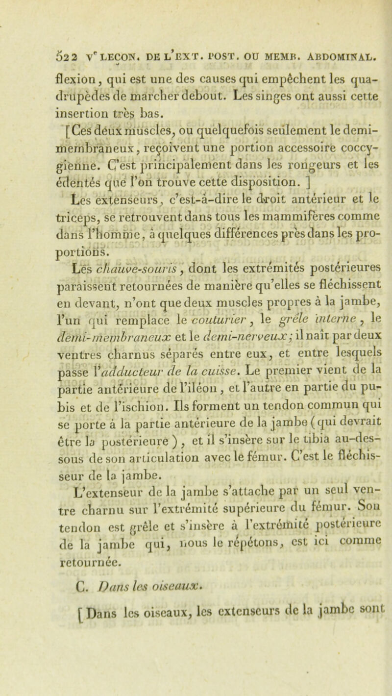 flexion, qui est une des causes qni empdchent les qua- druples de marcher debout. Les singes ont aussi cet.te insertion tres has. [Ces deux muscles, ou quelquefois settlement le demi- membraneux, re^oivent une portion accessoire coccy- gienne. C’est principalement dans les rongeurs et les edentes que 1’on trouve cette disposition. ] Les extenseurs, c’est-a-dire le d>roit anterieur et le triceps, se retrouventdans tous les mammiferes comme dans l’hommc, a quelques differences pres dans les pro- portions. Les cllauv e-souris, dont les extremites posterieures paraissent retournees de maniere qu’elles se flechissent en devant, n’ont que deux muscles propres a la jambe, l’un qui remplace \e couturier, le grele interne , le derni-membraneux et le demi-nerveux; il nait par deux ventres charnus separes entre eux, et entre lesquels passe Xadducteur de la cuisse. Le premier vient de la partie anterieure de 1’ileoii, et l’autre en partie du pu- bis et de l’ischion. Ils forment un tendon commun qui sc porte a la partie anterieure de la jambe (qui devrait etre la pusterieure ) , et il s’insere sur le tibia au-des- sous deson aniculation avecle femur. C’est le flechis- seur de la jambe. L’extenseur de la jambe s’attache par un seul ven- tre charnu sur l’extremite supdrieure du femur. Sou tendon est grele et s’mscre a lextremite postencurc de la jambe qui, nous le repetons, est ici comme retournee. C. Dans les oiseaux. [ Dans les oiseaux, les cxtcnscurs de la jambe sont