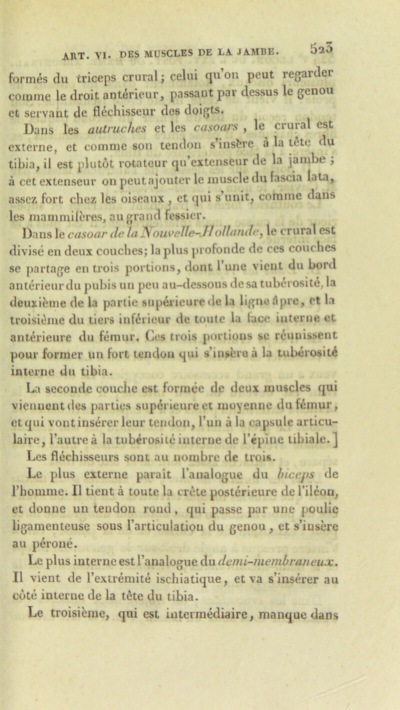 5a5 ART. YI. DES MUSCLES DE LA JAMBE. formes du triceps crural; celui qu’on peut regarder comme le droit anterieur, passant par dessus le genou et servant de flechisseur des doigts. Dans les autruches et les casoars , le crural est externe, et comme son tendon s’insfcre a la tete du tibia, il est plutbt rotateur qu’extenseur de la jambe ; a cet extenseur on peutajouter le muscle du fascia lata, asscz fort chez les oiseaux , et qui s’unit, comme dans les mainmileres, au grand fessier. Dans le casoar de let JYoiiveUe- ff ollunde, le crural est divise en deux couches; la plus profonde de ces couches se partage en trois portions, dont Tune vient du bord anterieur du pubis un pen au-dessous desa tuberosite, la deuxieme de la partie superieurede la ligne Apre, ct la troisieme du tiers infdriour de toute la lace interne et anterieure du femur. Ces trois portions sc reunissent pour former un fort tendon qui s’insere a la tuberosite interne du tibia. La seconde couche est formee de deux muscles qui vienuentdes parties superieure et moyenne du femur, etqui voutinserer leur tendon, l’un a la capsule articu- laire, l’aulrea la tuberosite interne de l’epine libiale.] Les flechisseurs sont au nombre de trois. Le plus externe parait 1’analogue du biceps de l’bomme. II tient a toute la crete posterieure de l’ileon, et donne un tendon rond, qui passe par une poulie ligamenteuse sous Tarticulation du genou, et s’insere au perone. Le plus interne est l’analogue du demi-membraneux. II vient de l’extremite ischiatique, et va s’inserer au cote interne de la tete du tibia. Le troisieme, qui est intermediaire, manque dans